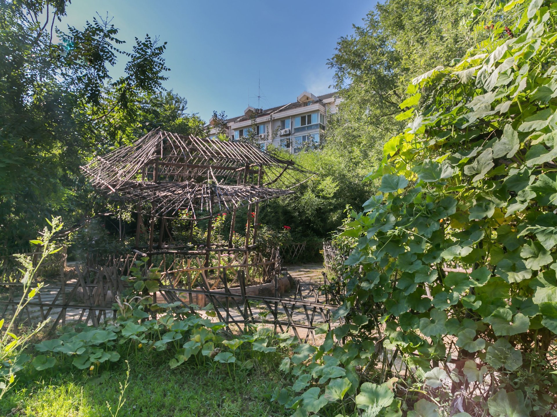 龙泽苑西区 environment