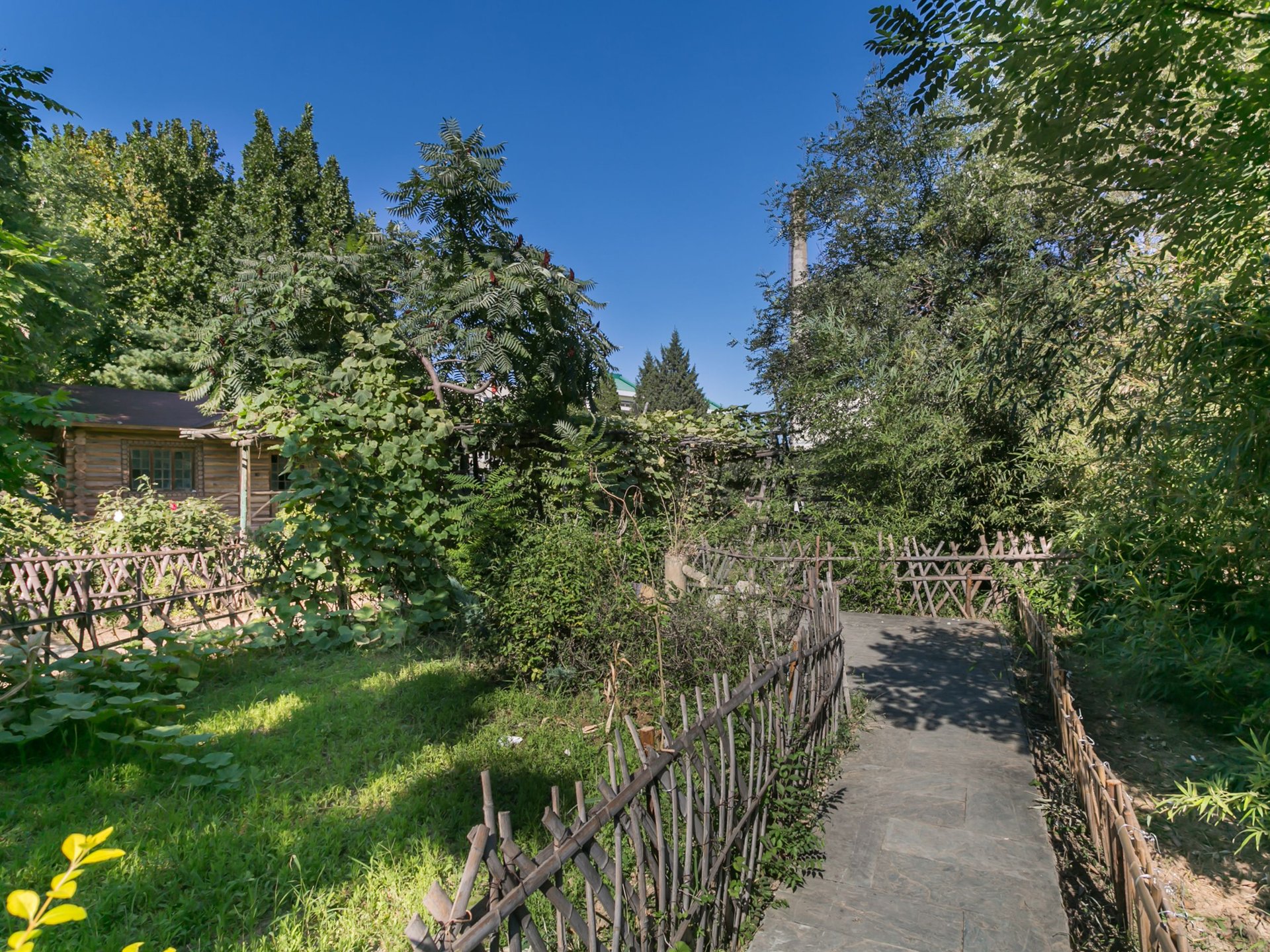 龙泽苑西区 environment