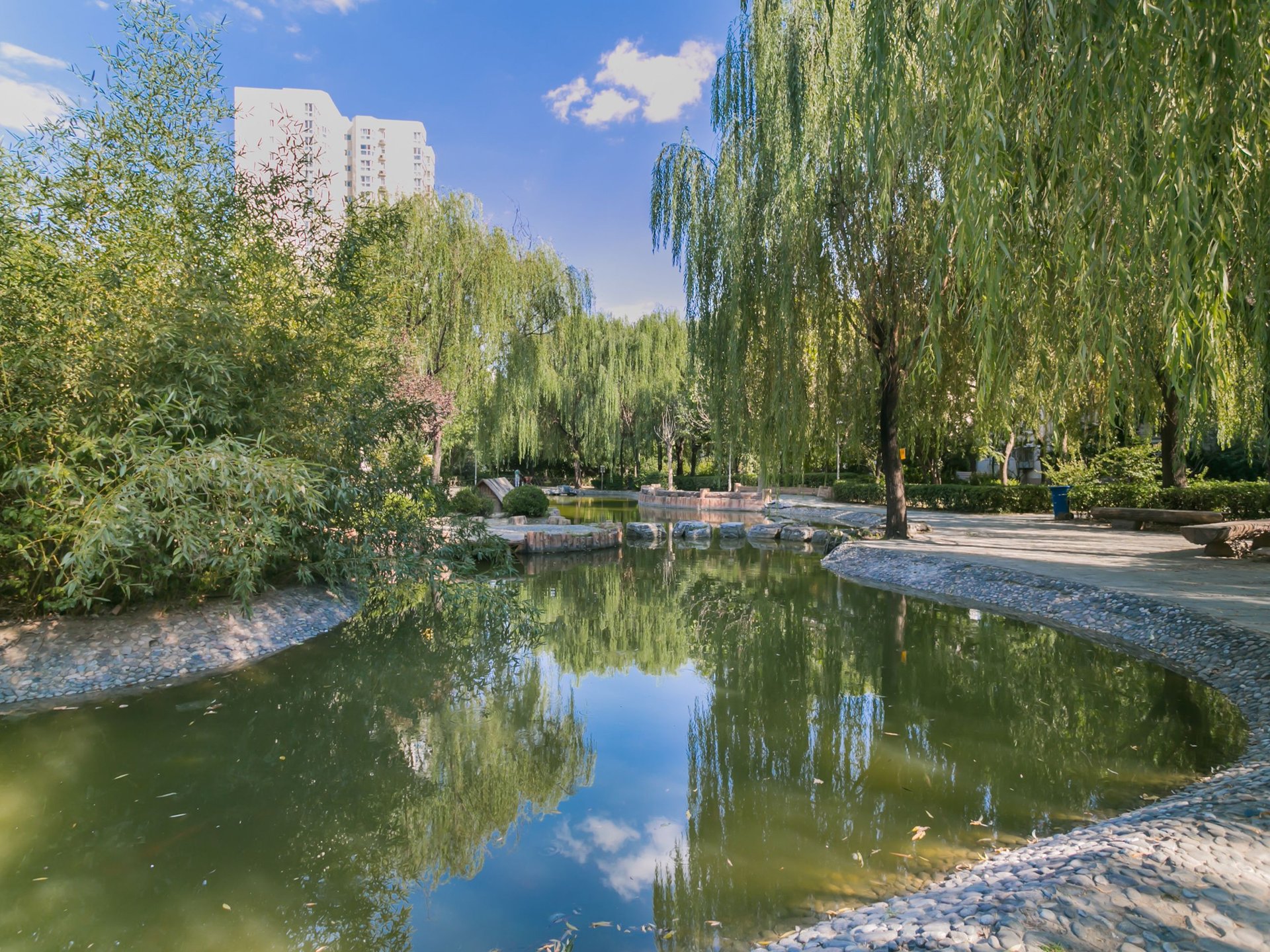 龙泽苑西区 environment