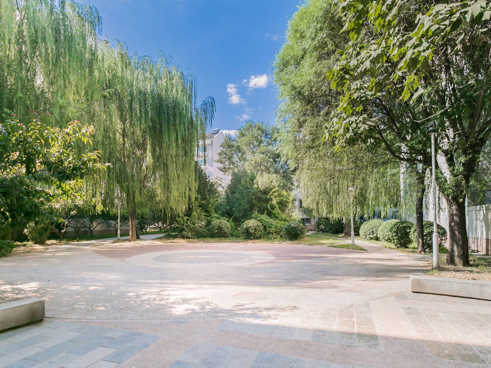 龙泽苑西区 environment