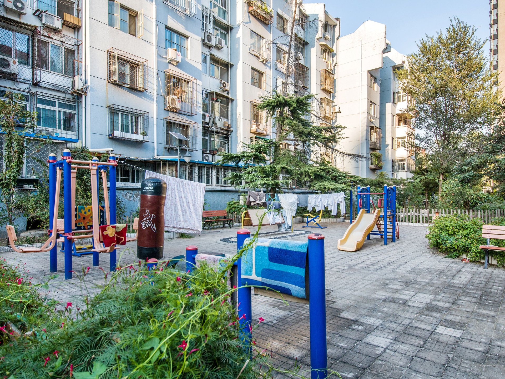 鲁谷村 environment