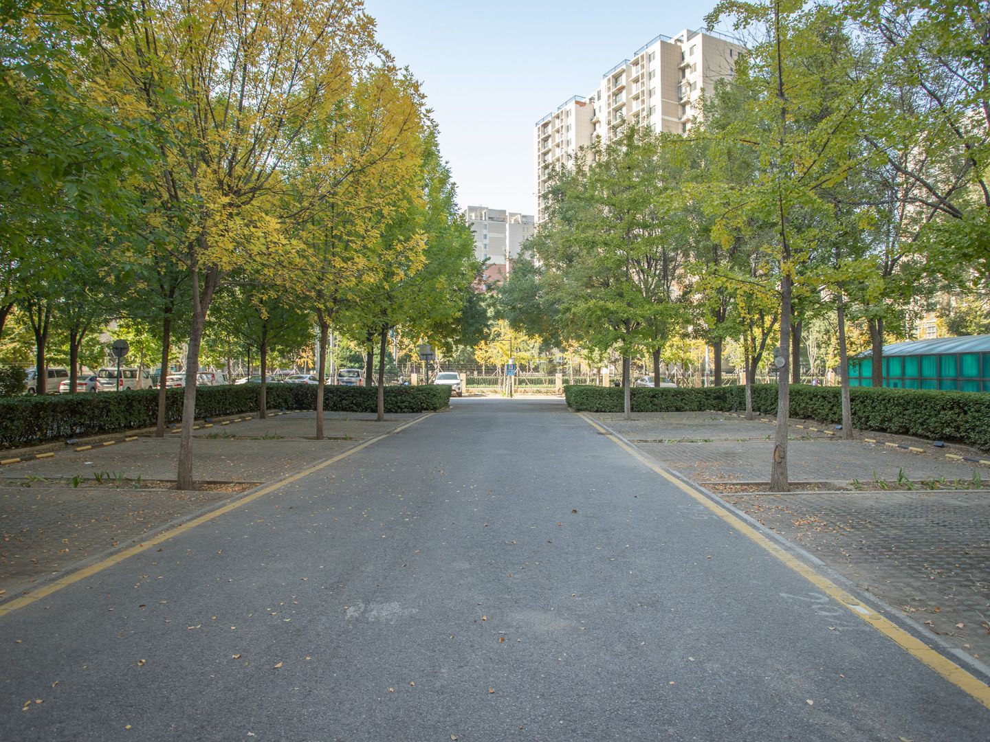 鹿海园五里 environment