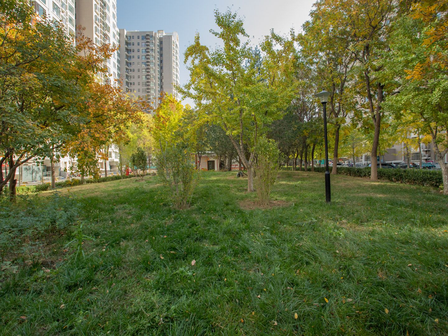 鹿海园五里 environment