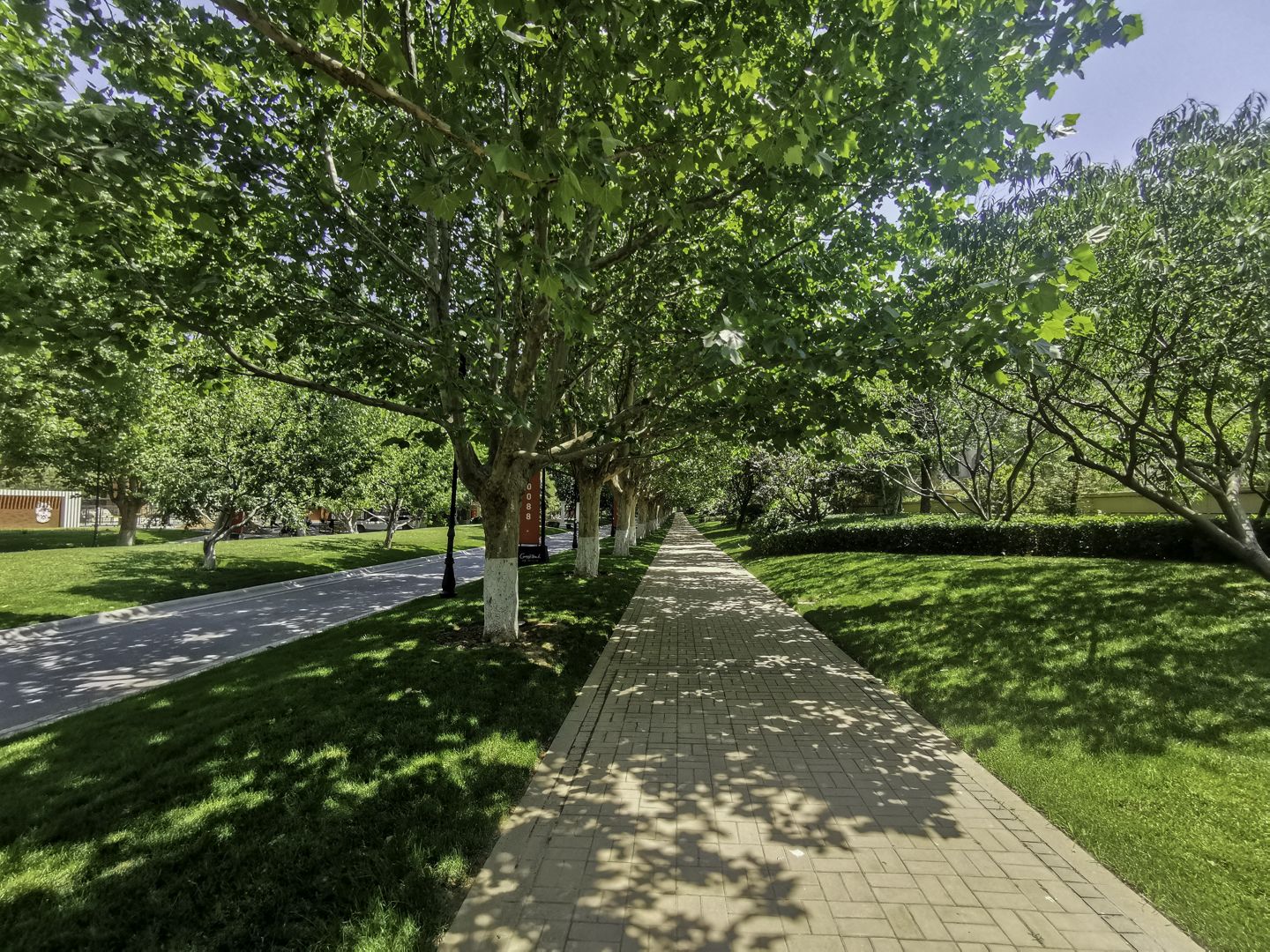 鲁能格拉斯小镇 environment