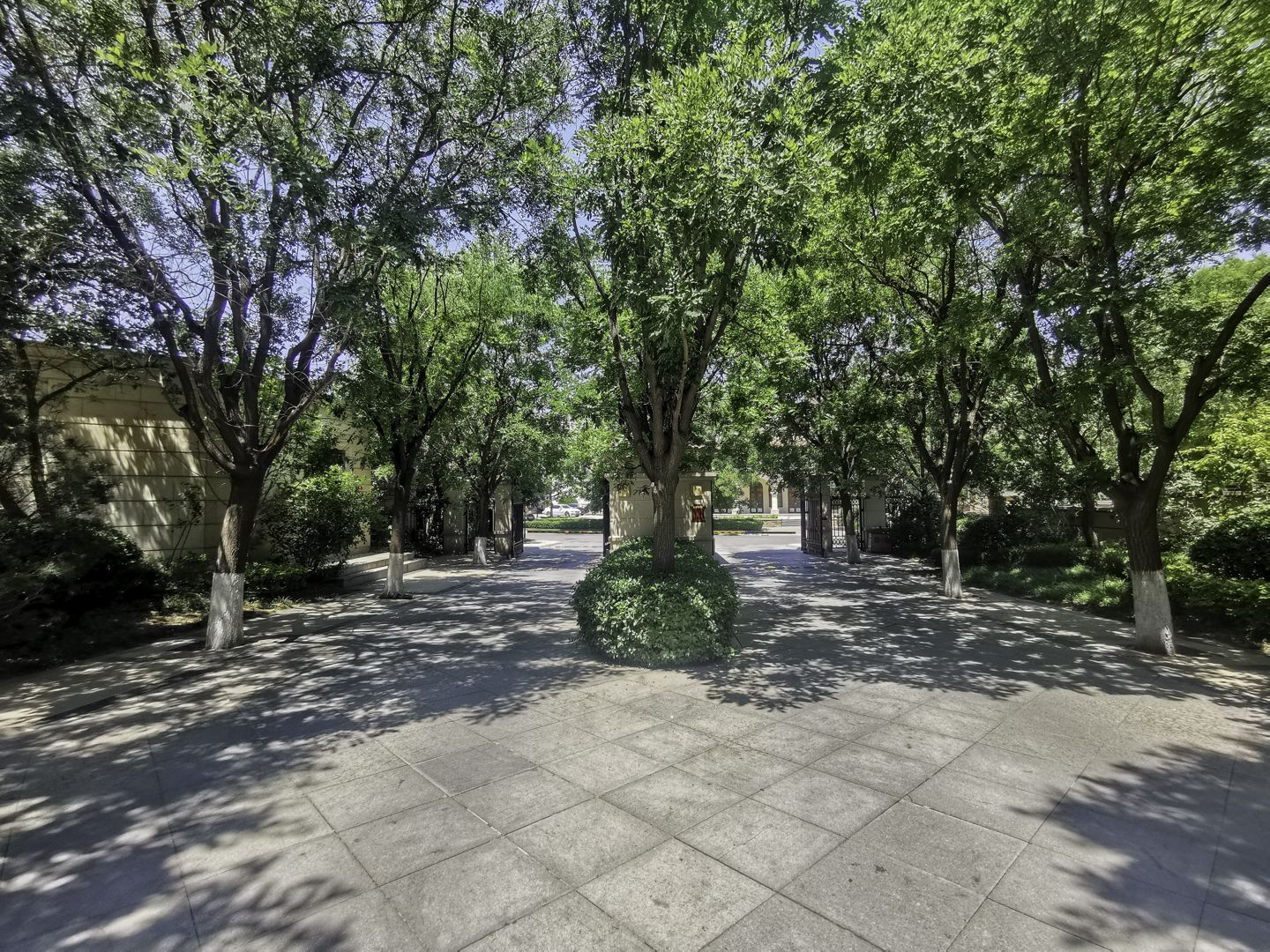 鲁能格拉斯小镇 environment