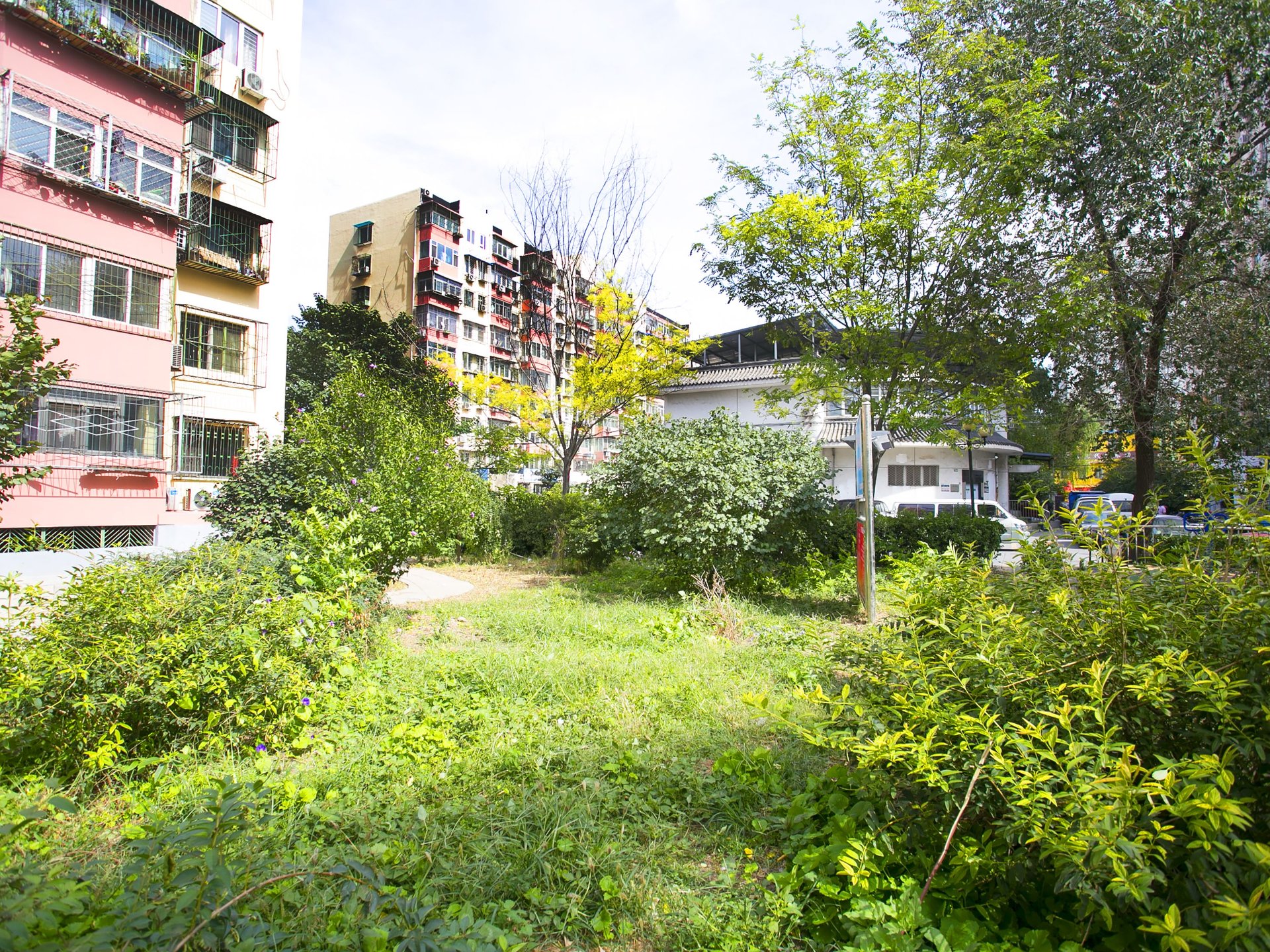 罗庄西里 environment