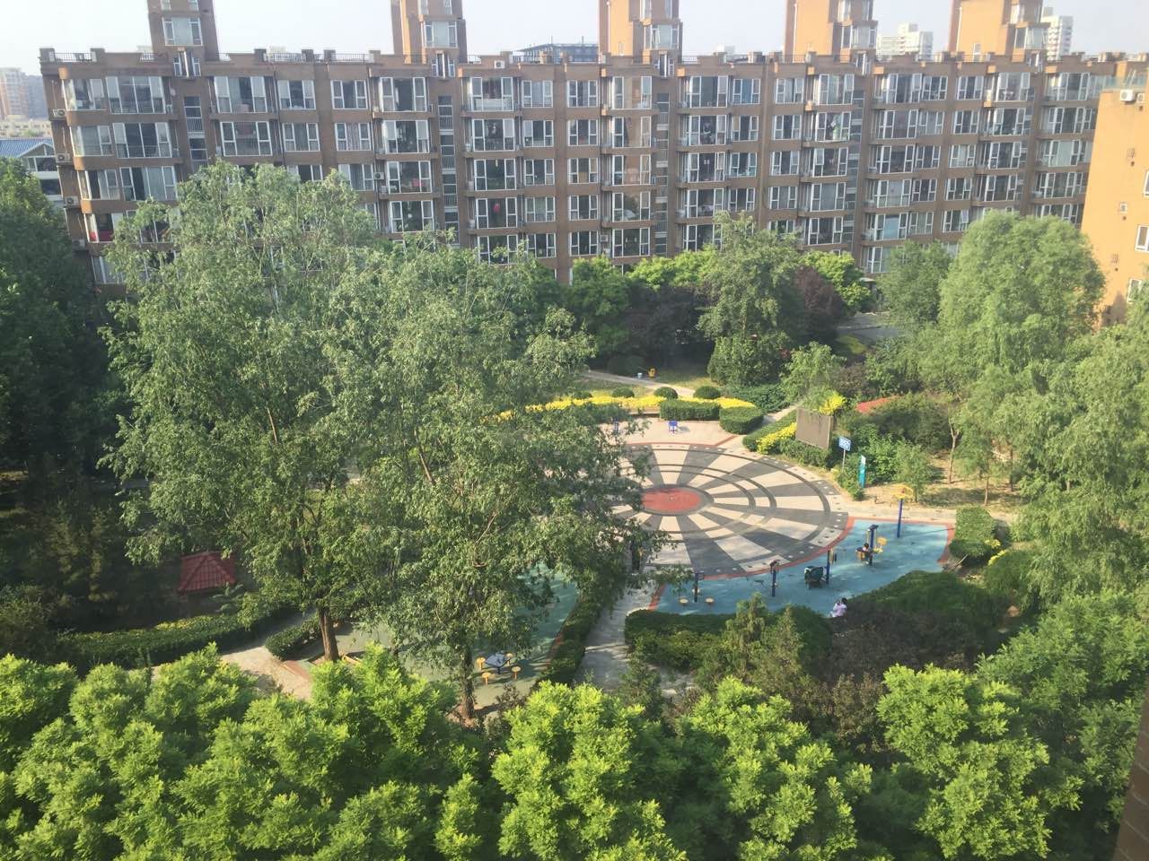 绿波漫板 environment