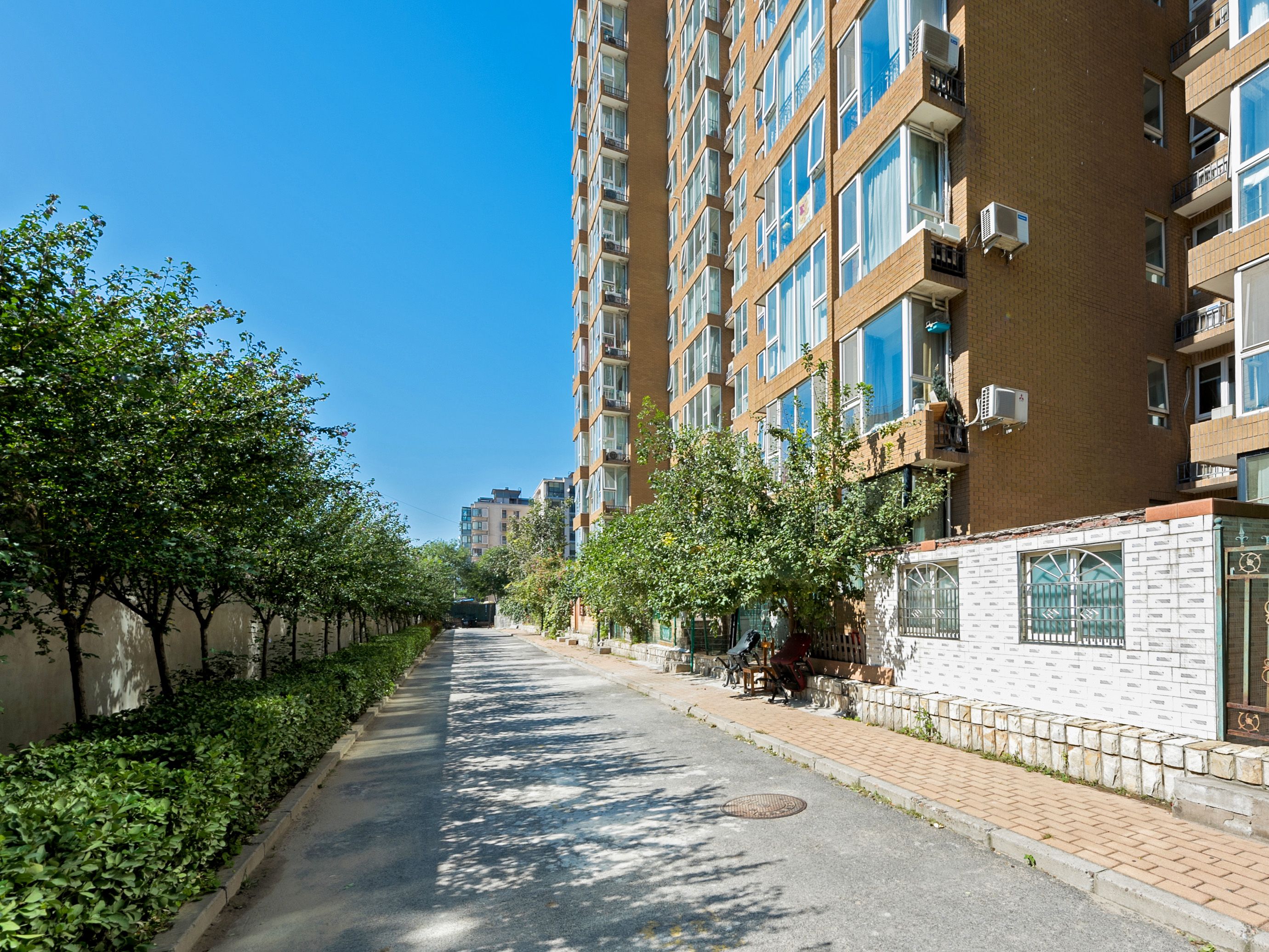 绿波漫板 environment