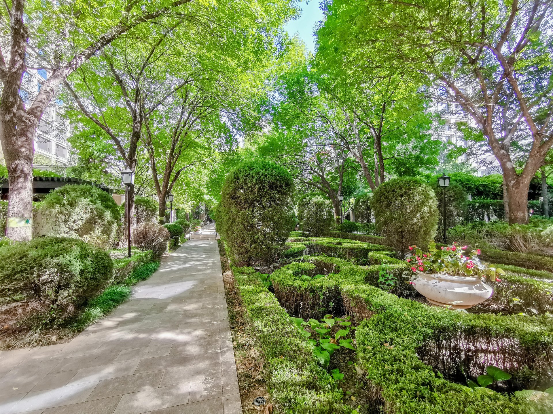 绿城北京诚园 environment