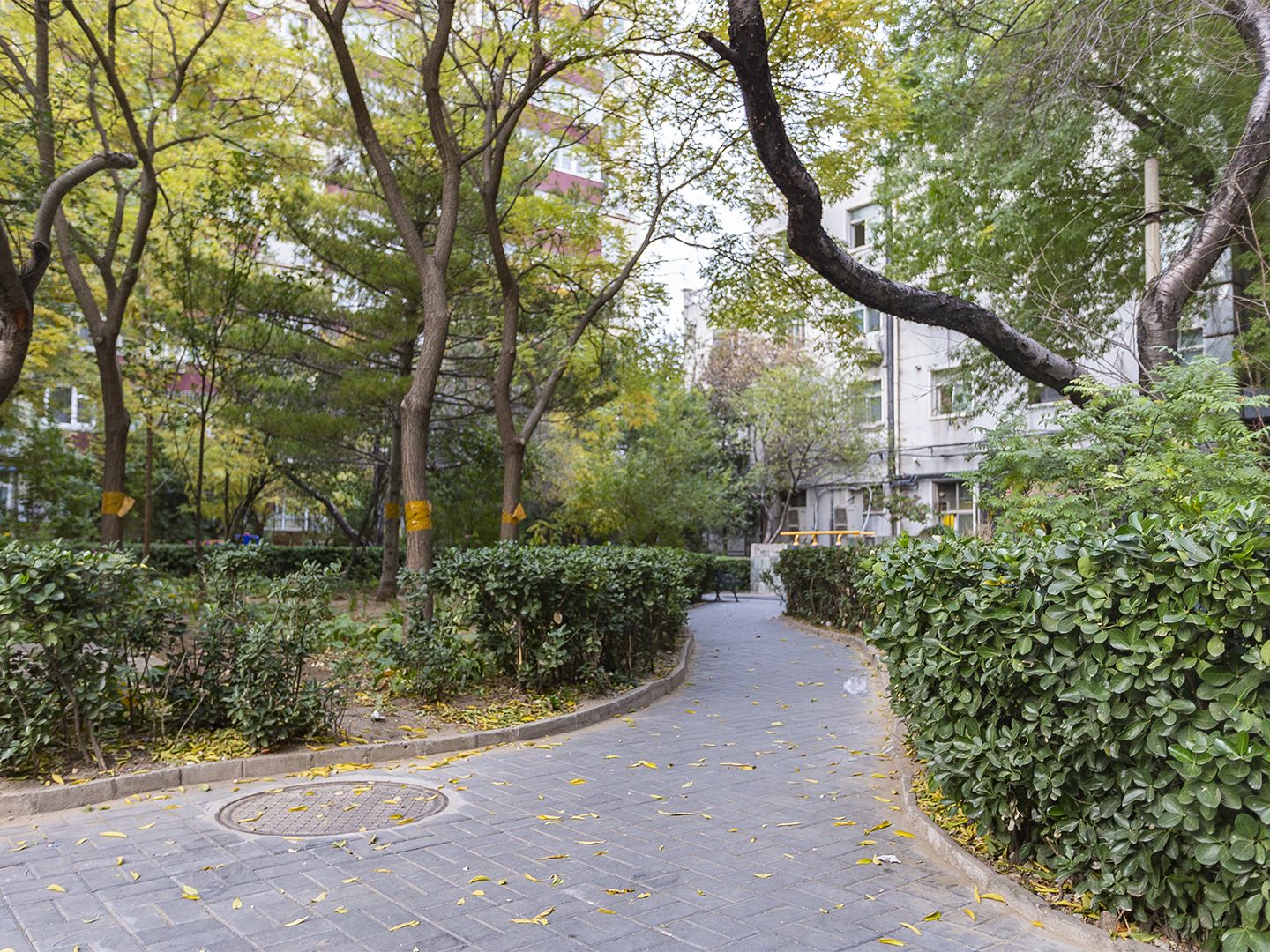 茂林居 environment