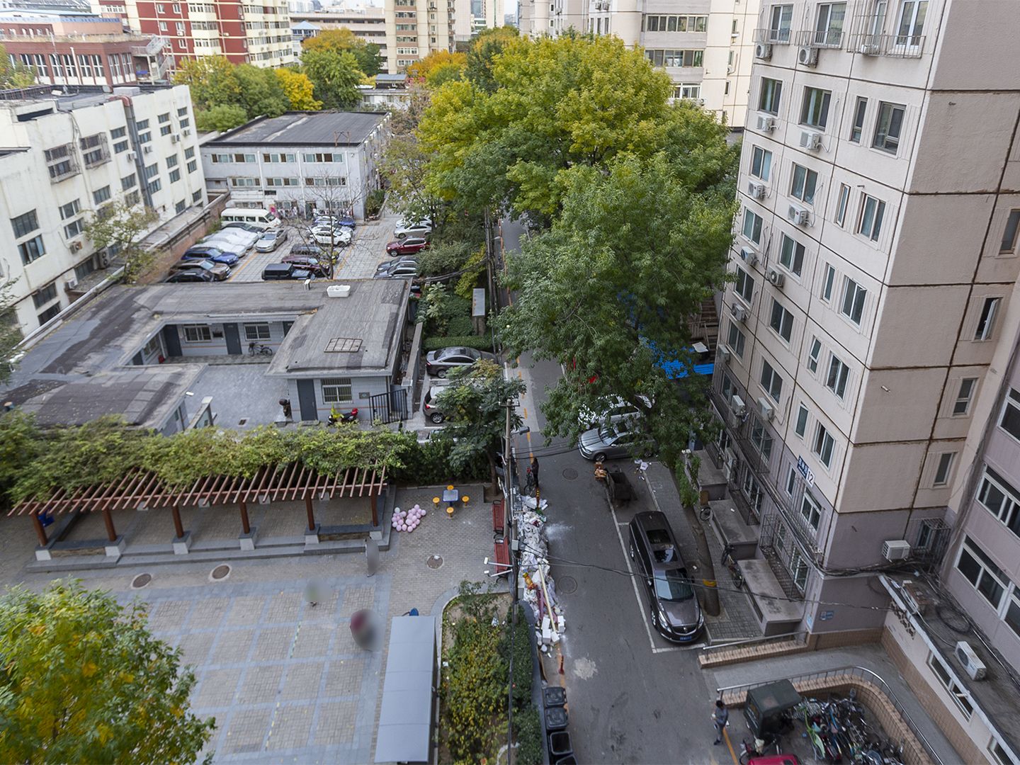 茂林居 environment