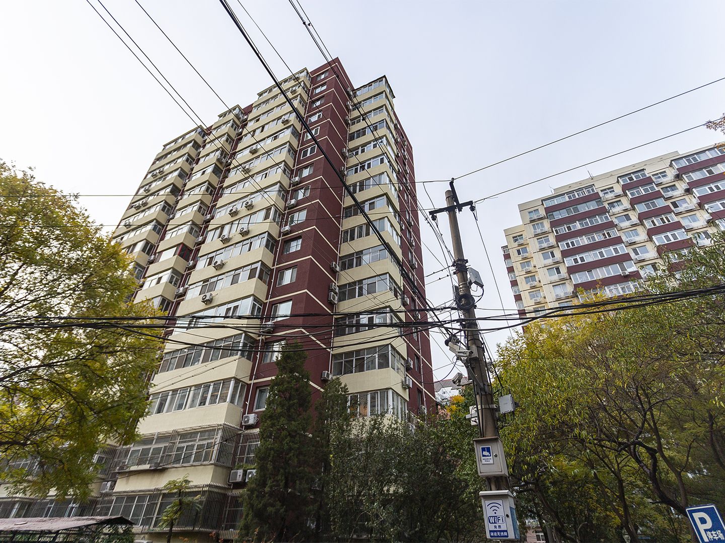 茂林居 environment