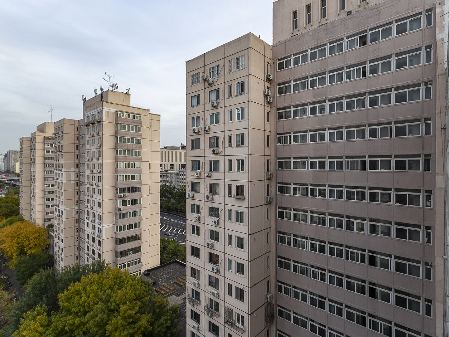 茂林居 environment