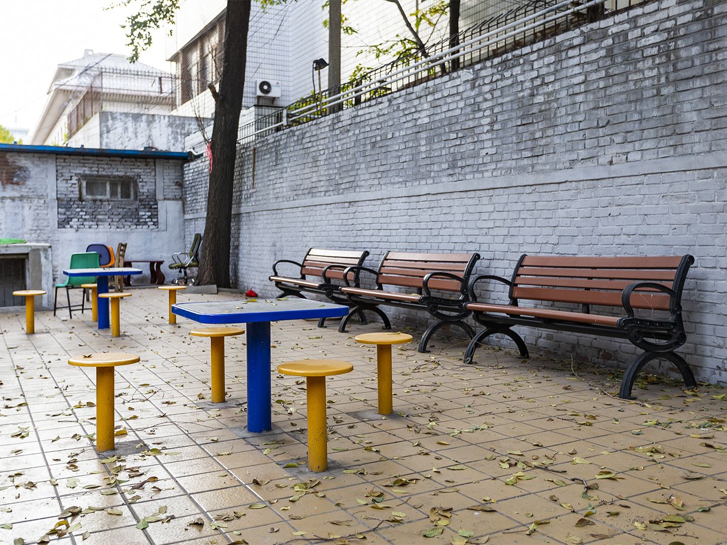 茂林居 environment