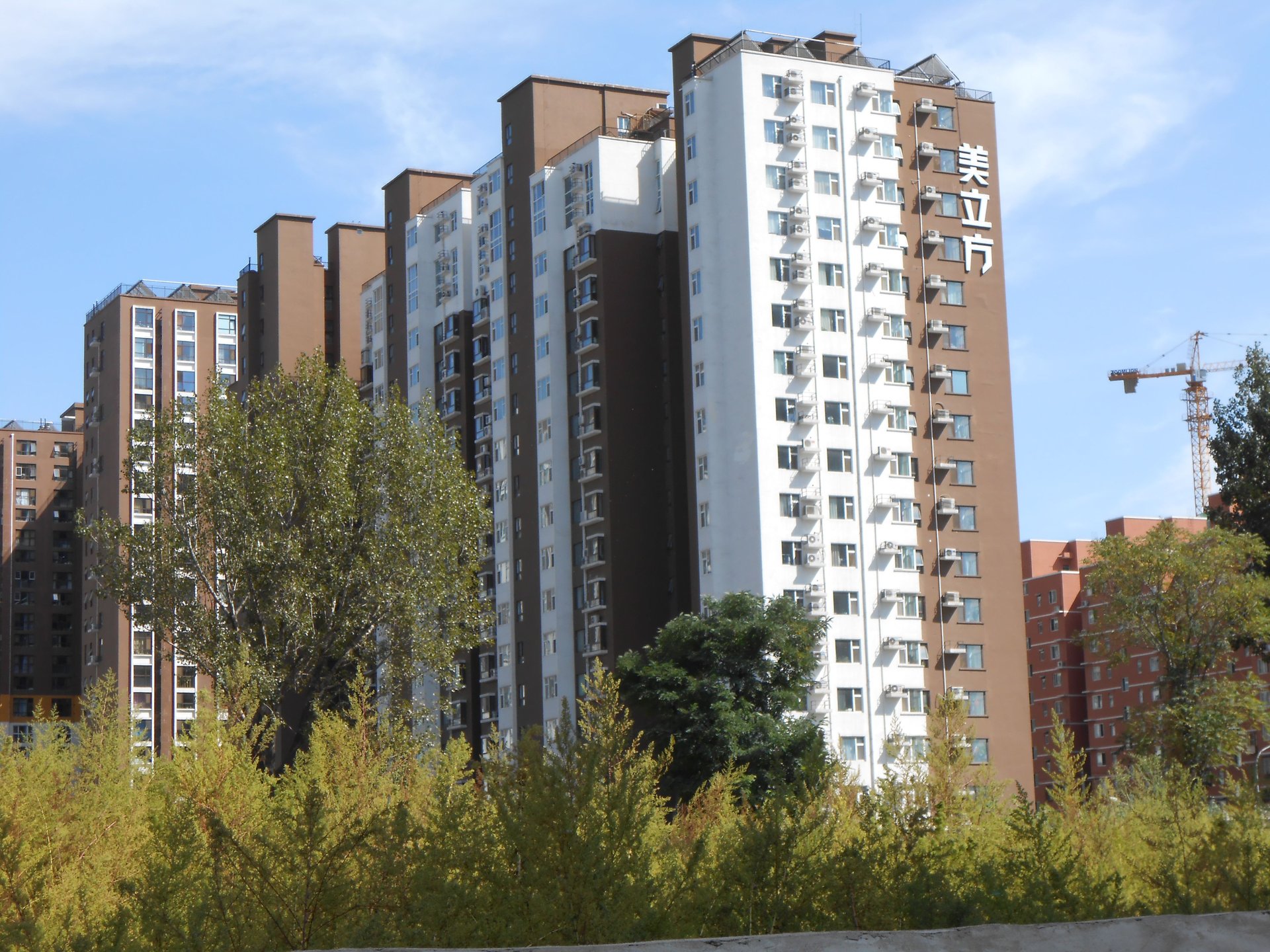 美立方 environment