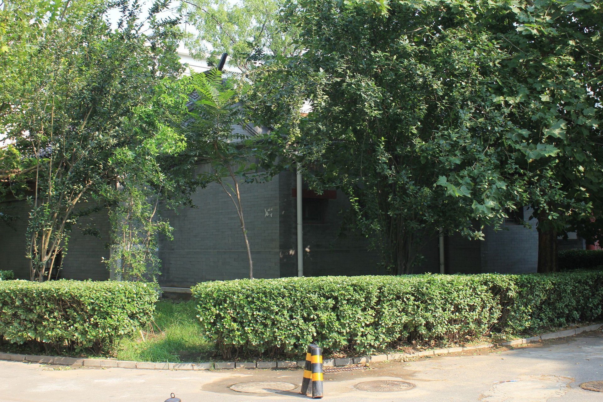 美术馆后街 environment