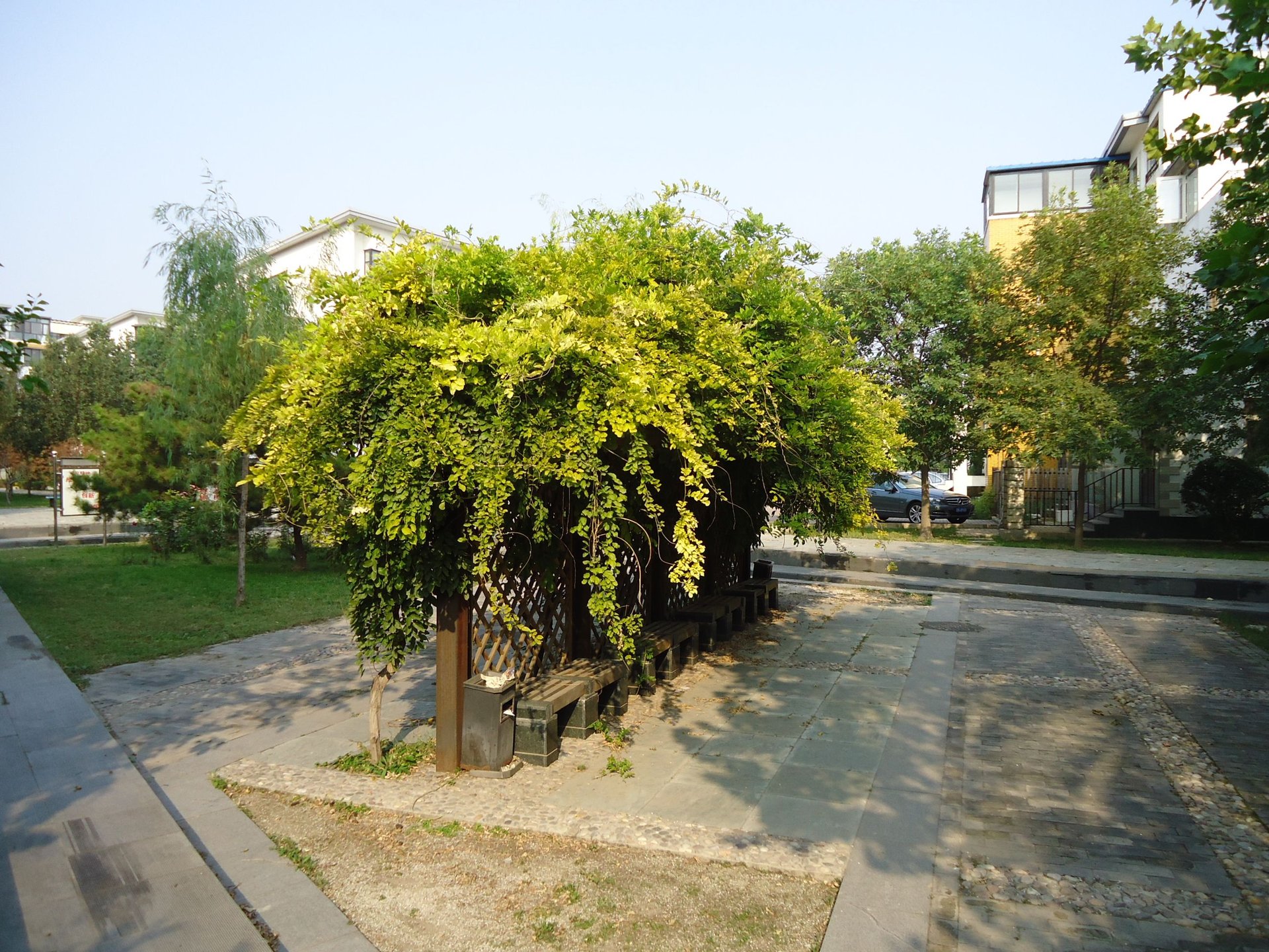 美树假日嘉园 environment