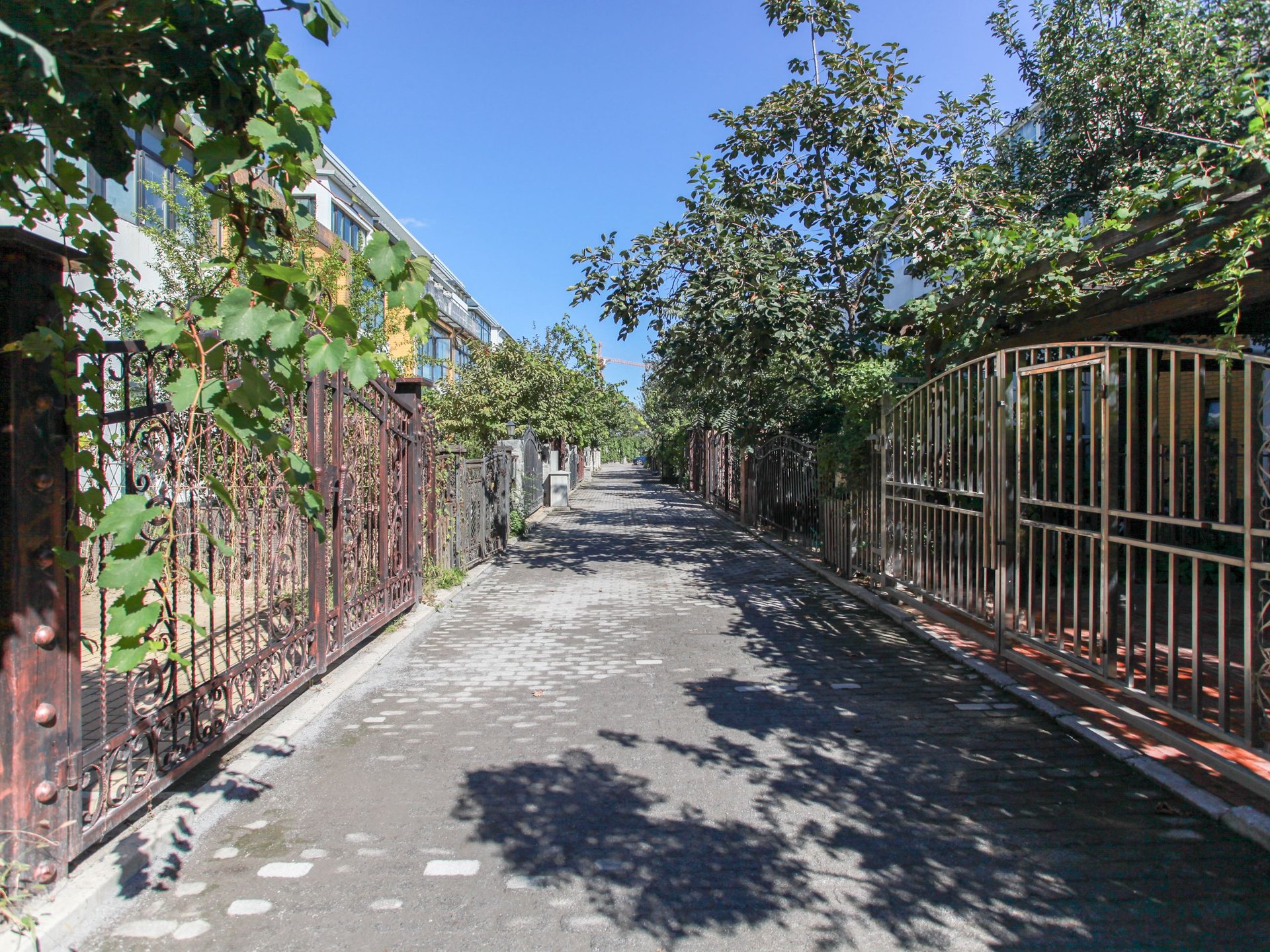 美树假日嘉园 environment