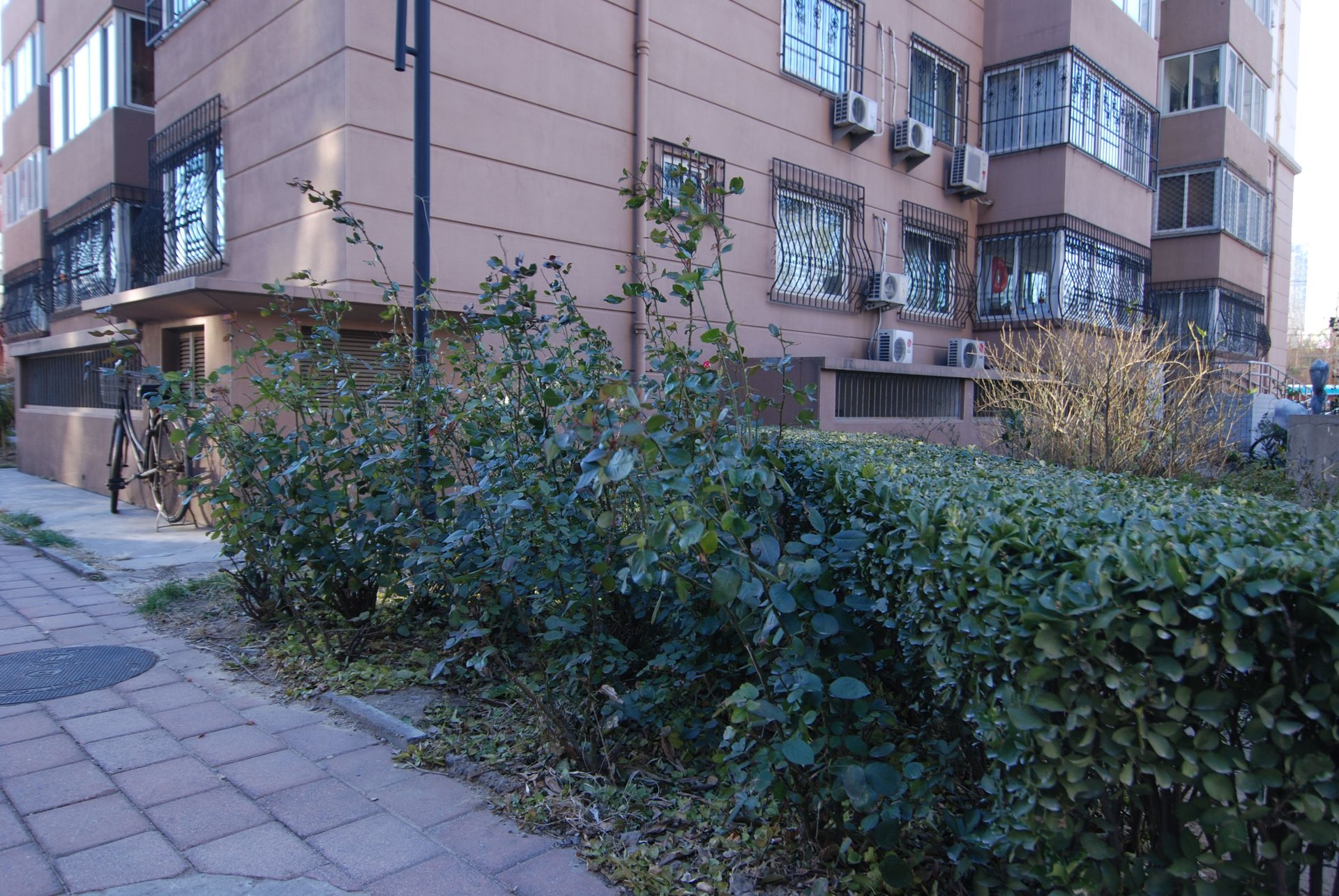 明光北里 environment