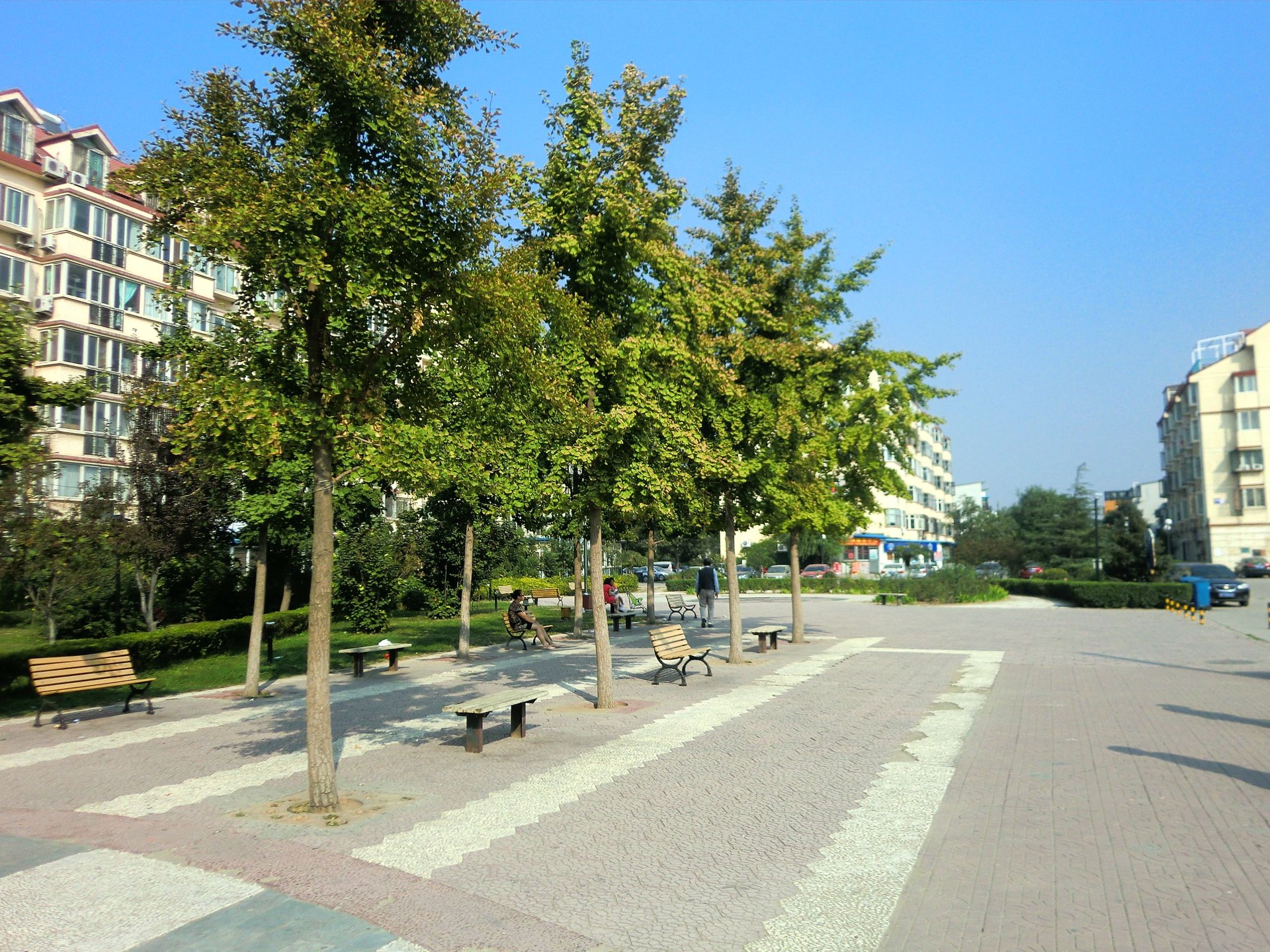 名佳花园一区 environment