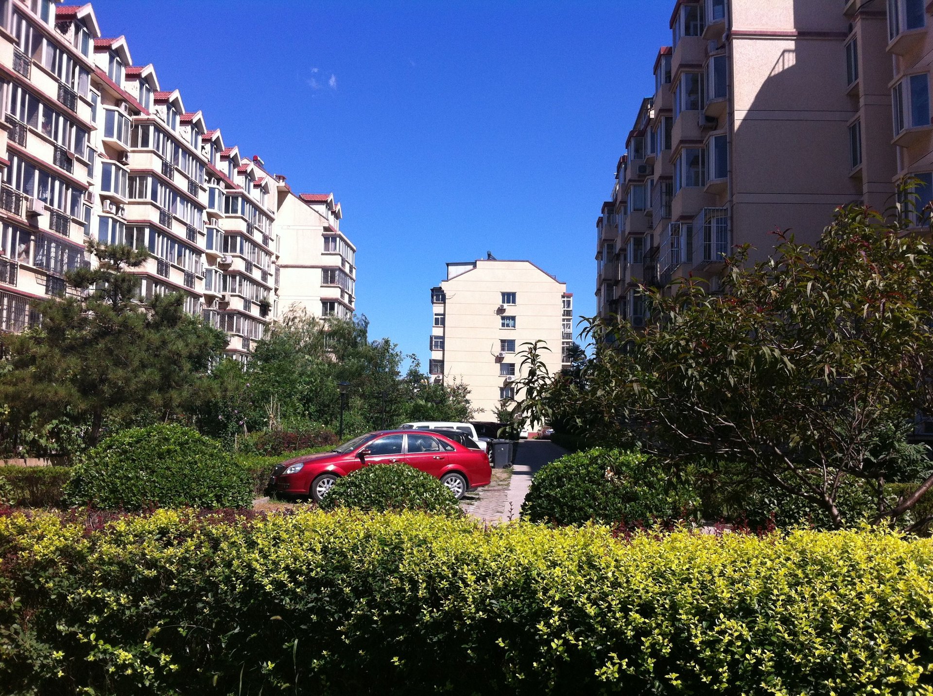 名佳花园一区 environment