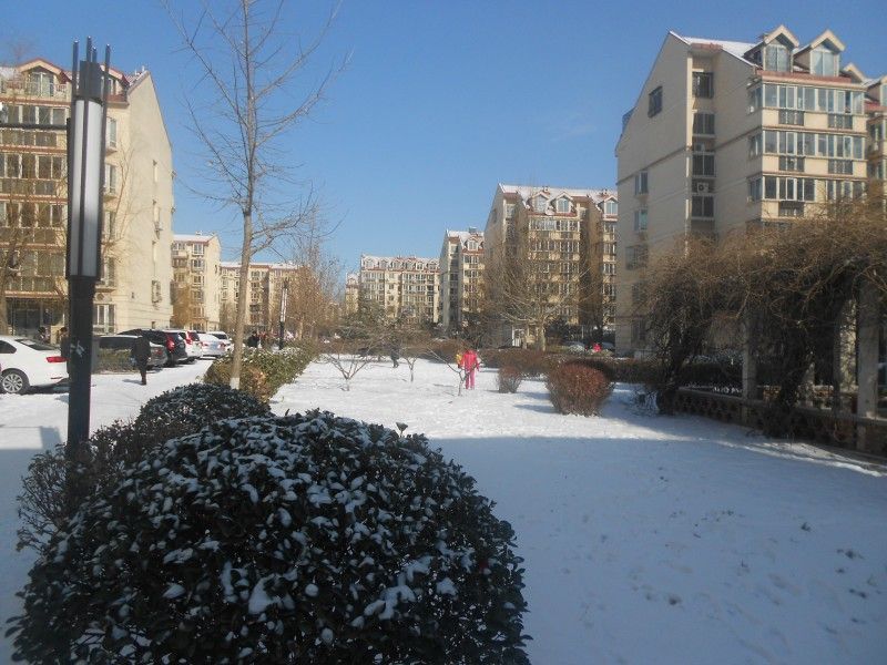 名佳花园一区 environment