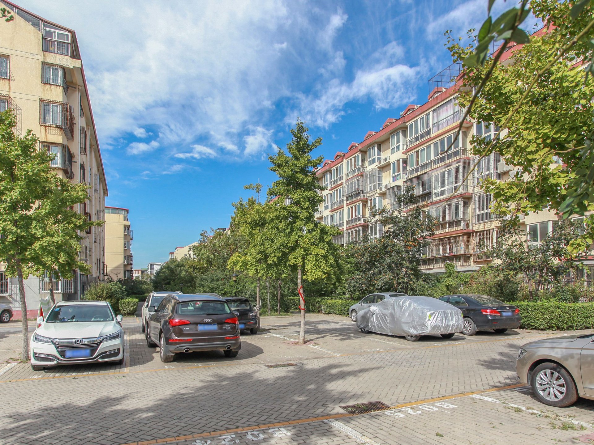 名佳花园一区 environment