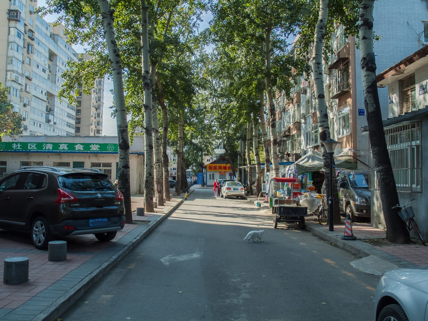 民族大学家属院 environment