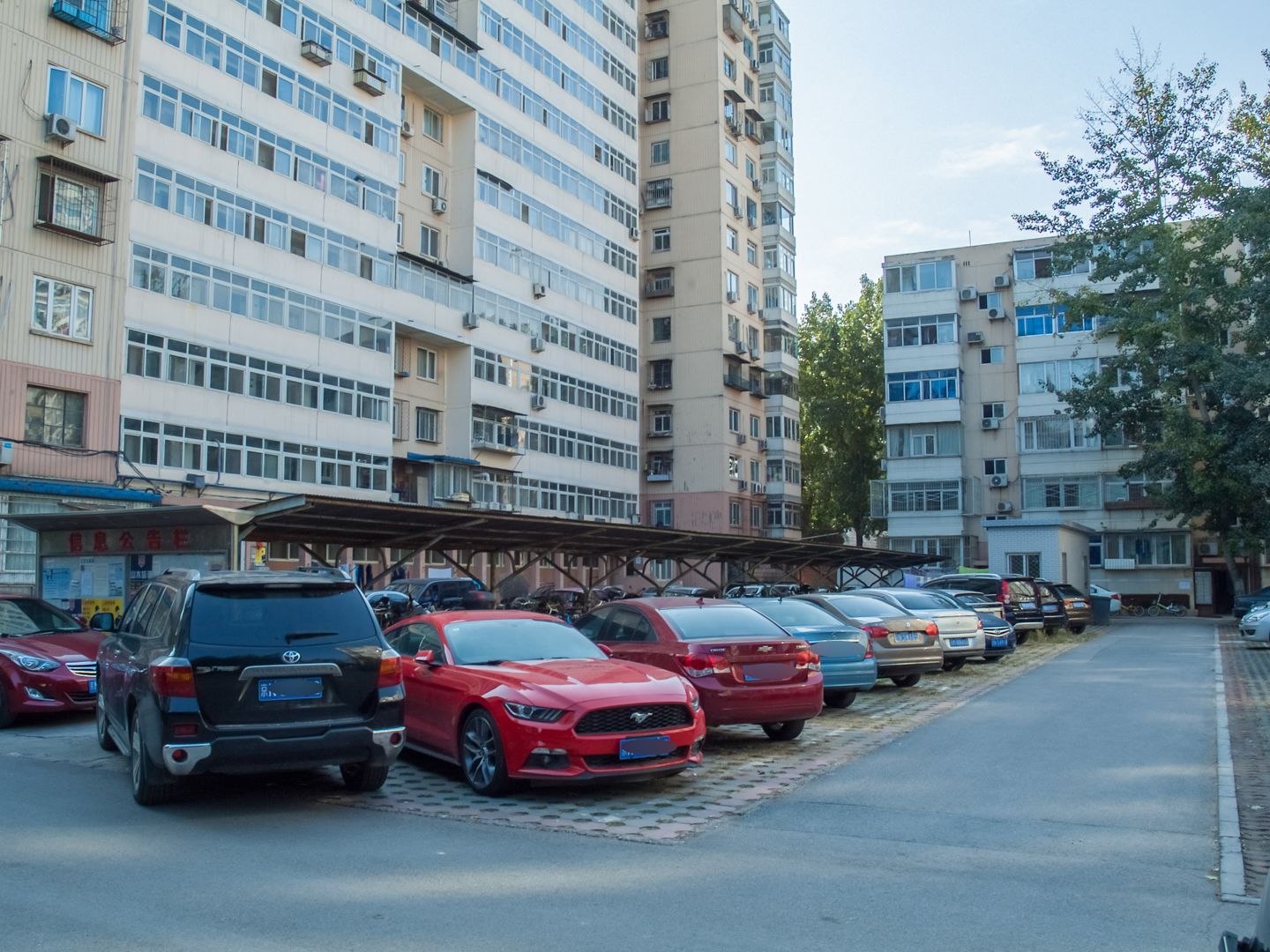 民族大学家属院 environment