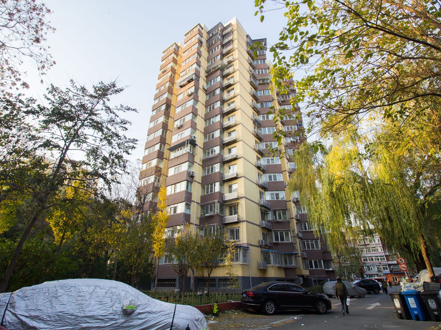 牡丹园西里 environment