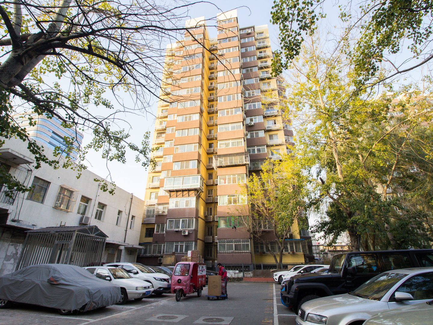 牡丹园西里 environment