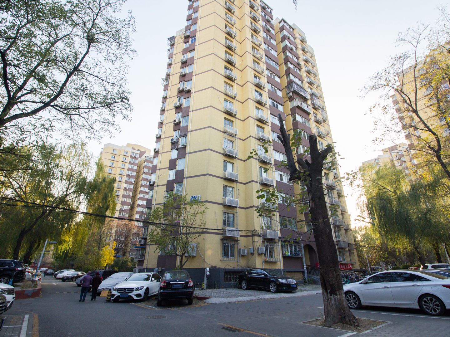 牡丹园西里 environment