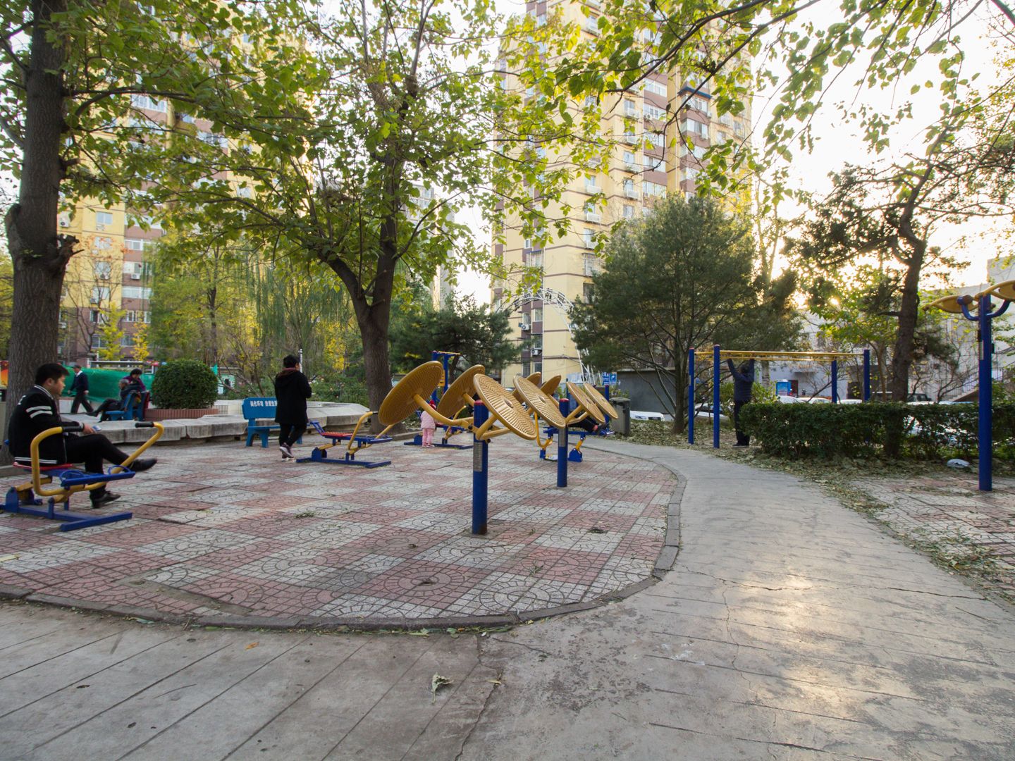 牡丹园西里 environment