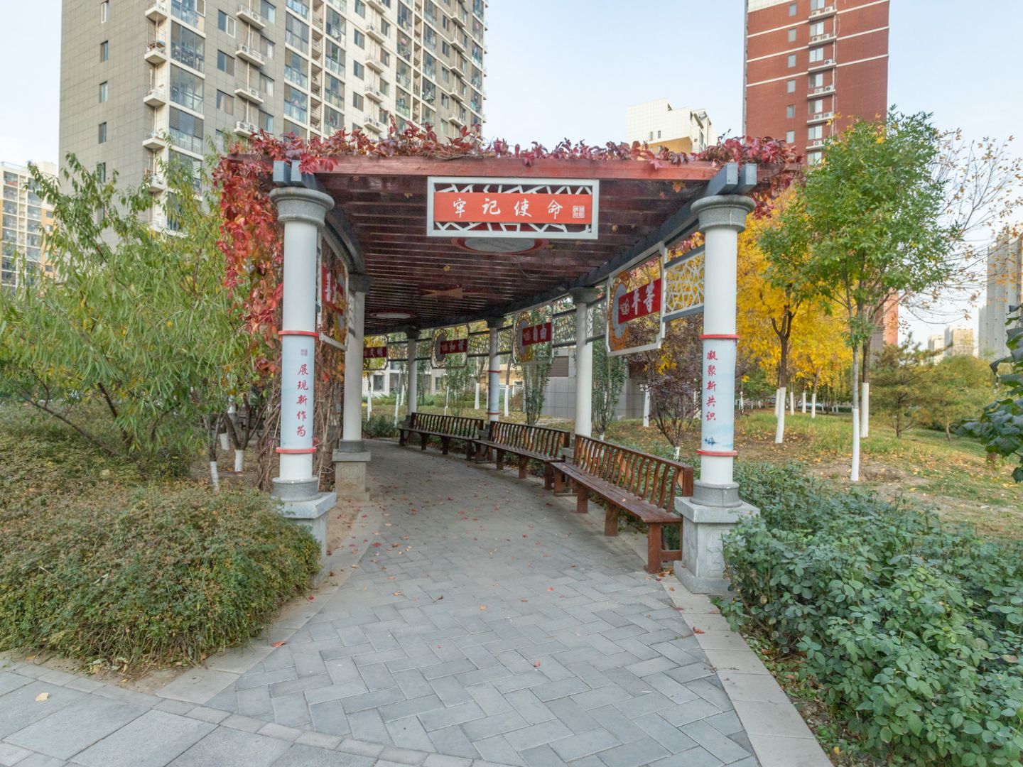 南海家园四里 environment