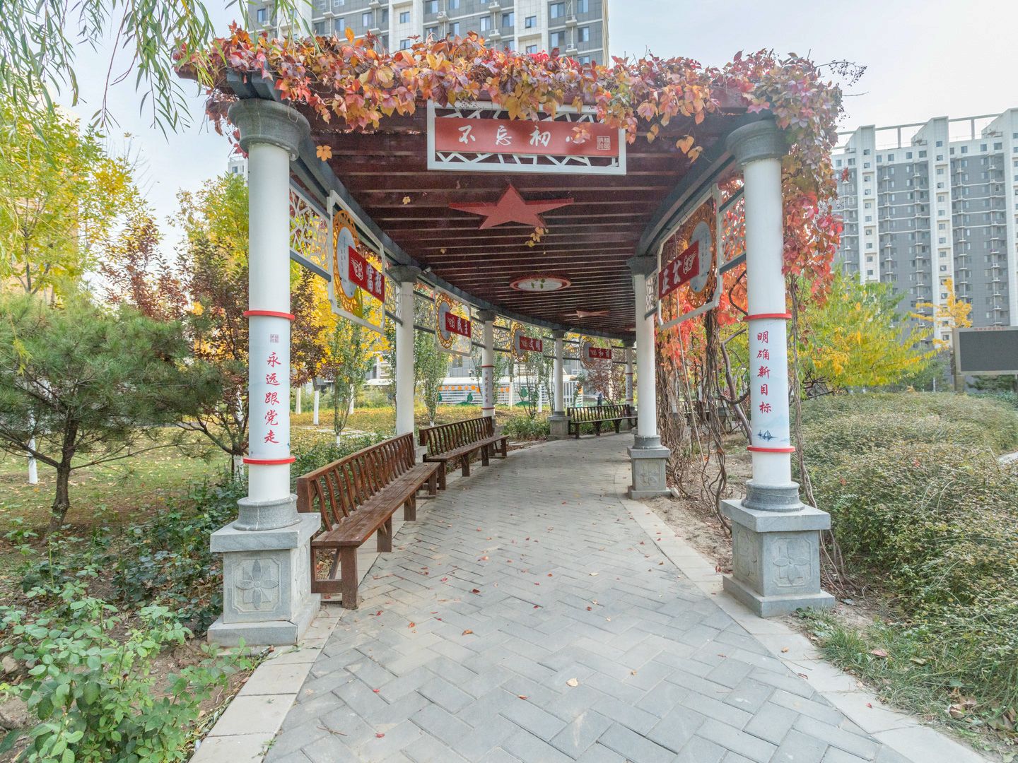 南海家园四里 environment