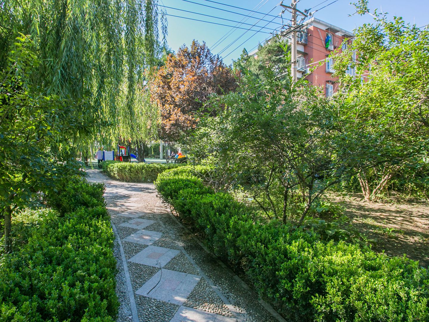 南湖渠西里 environment