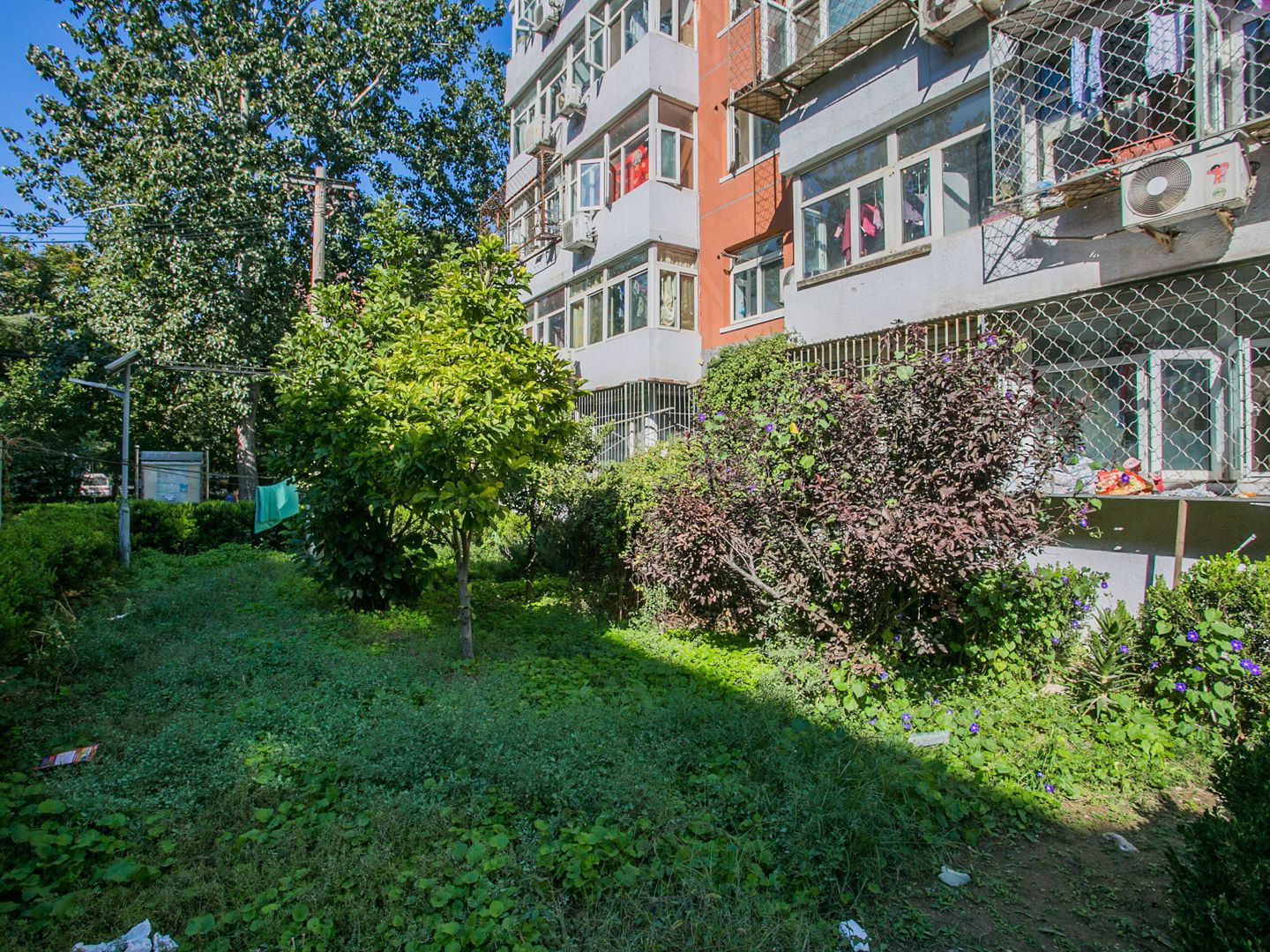 南湖渠西里 environment