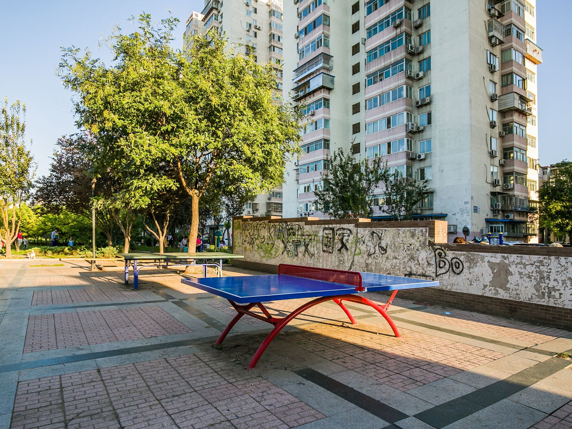 南湖中园二区 environment