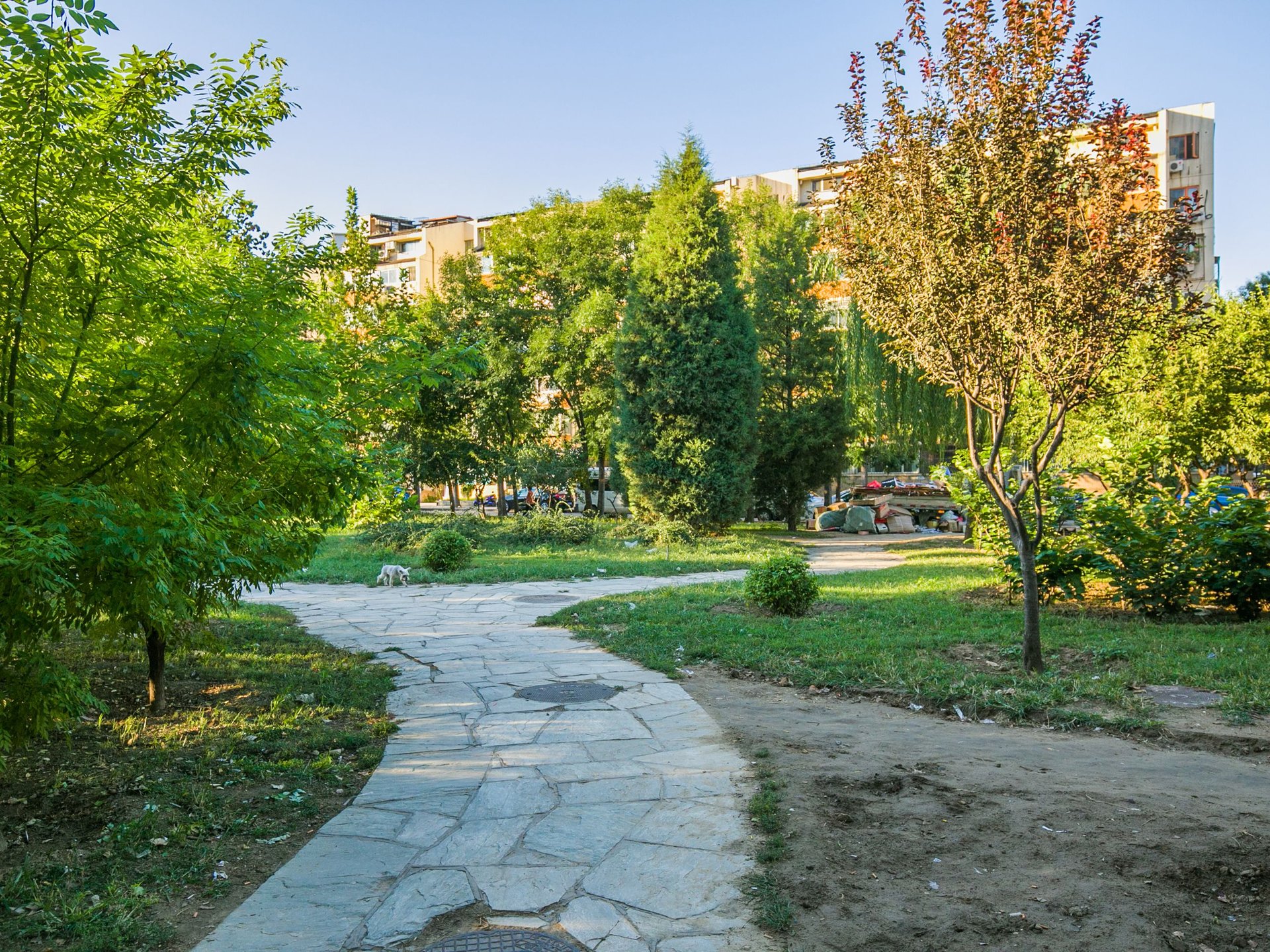 南湖中园二区 environment