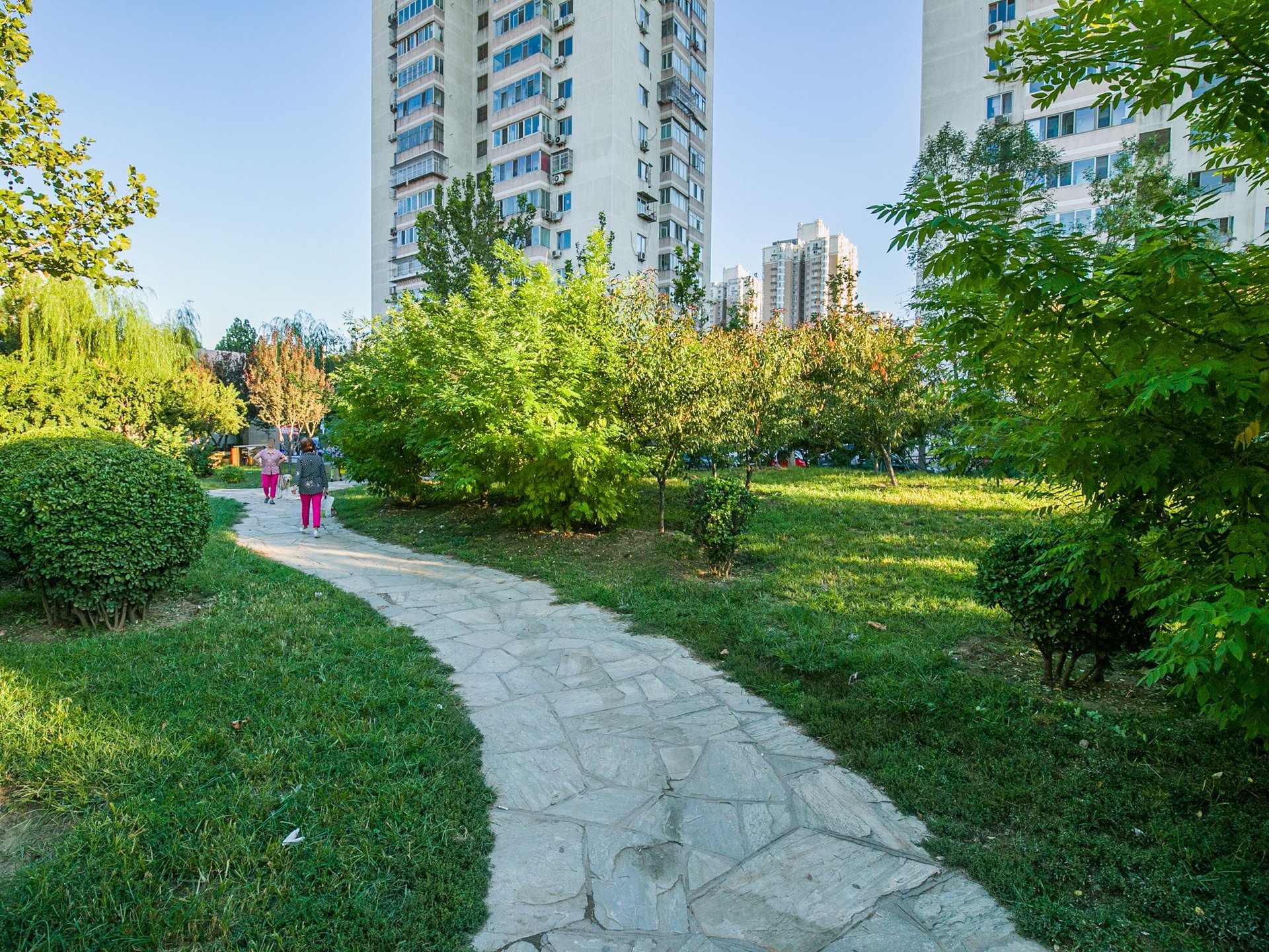 南湖中园二区 environment