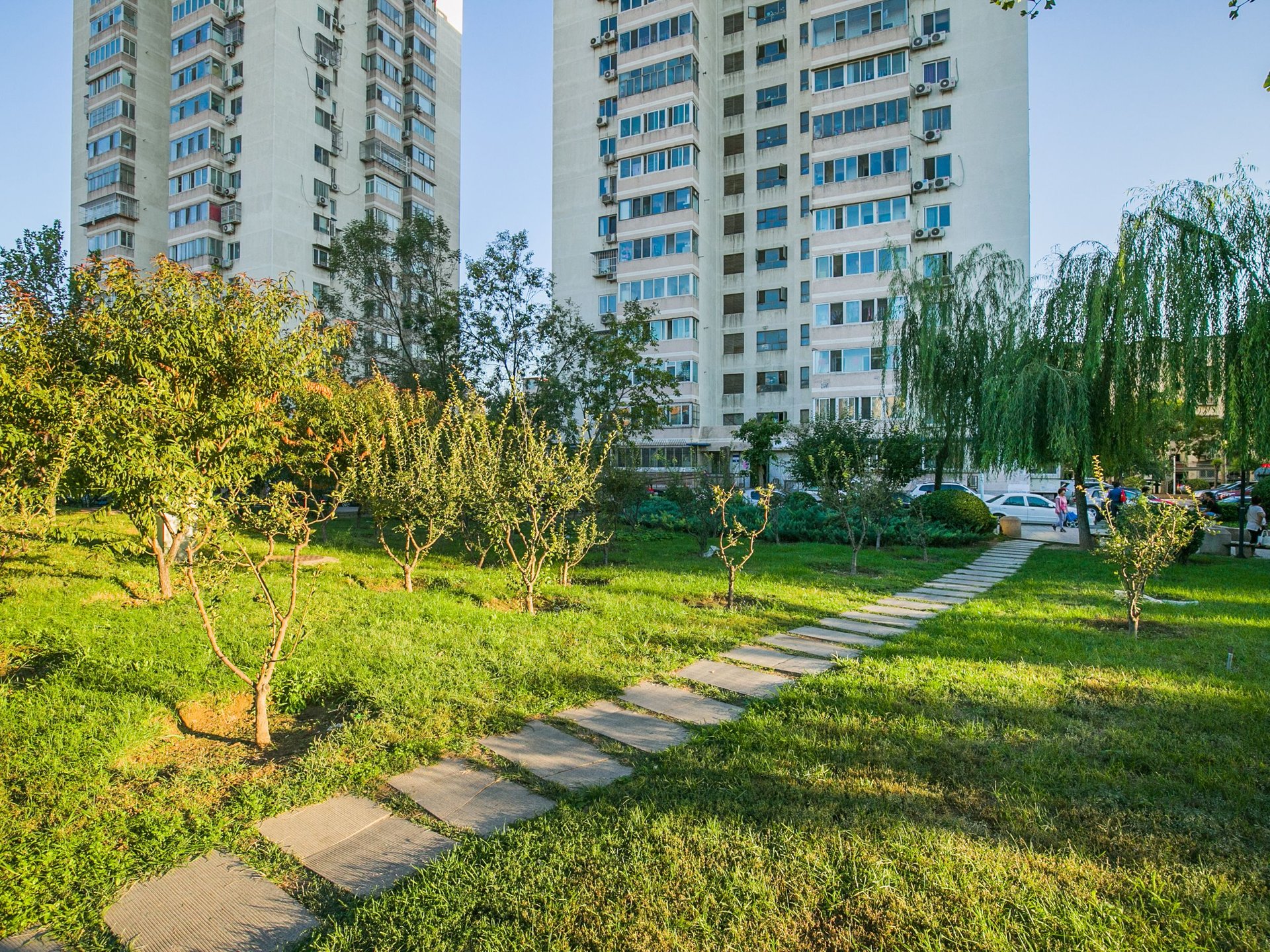 南湖中园二区 environment