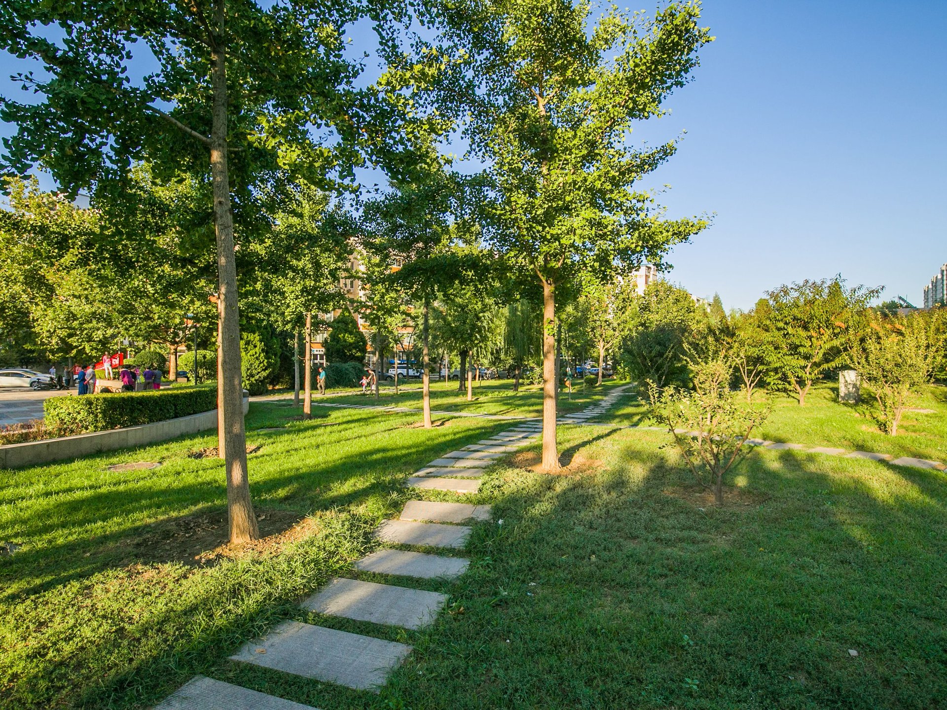 南湖中园二区 environment