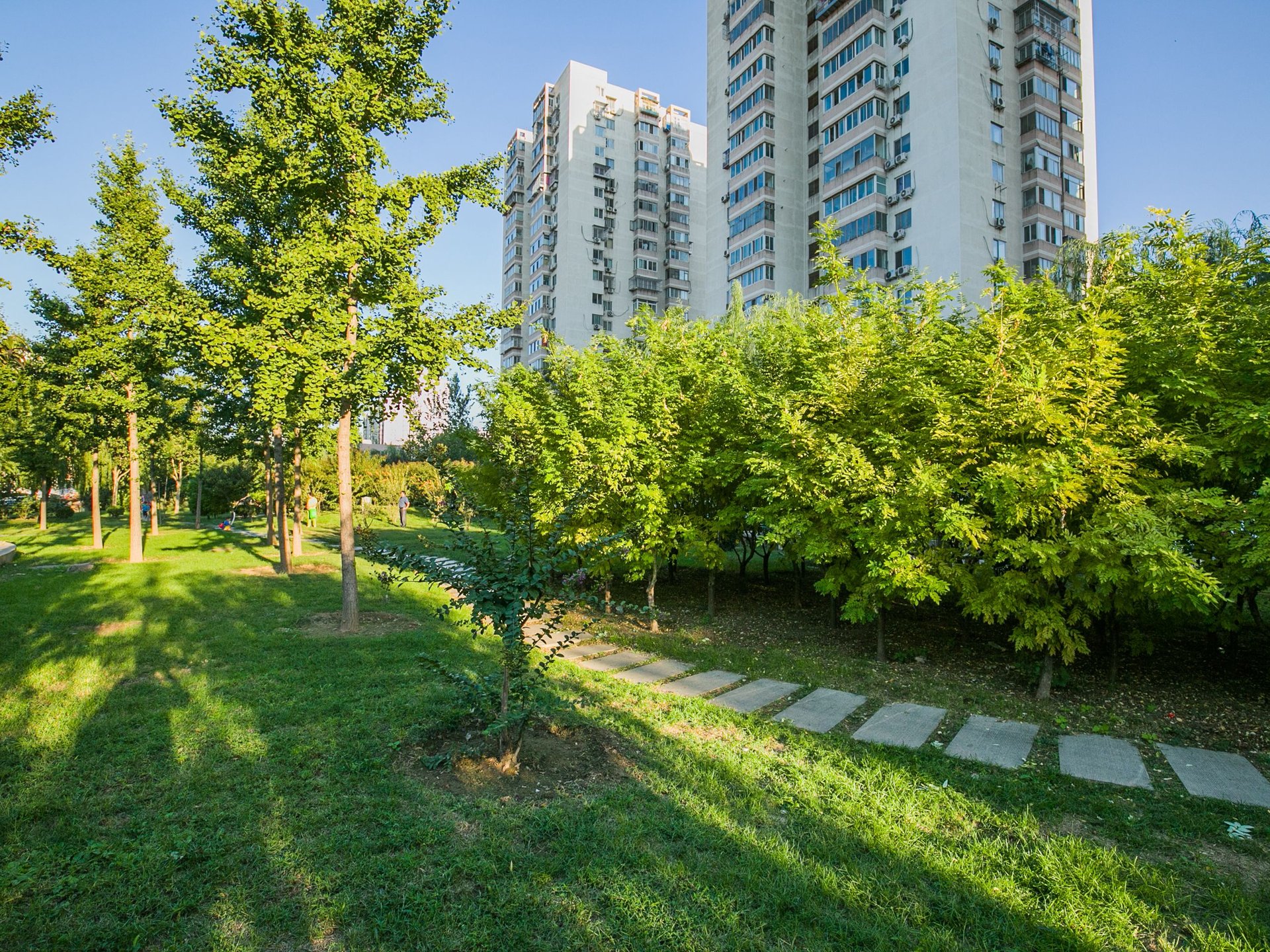 南湖中园二区 environment