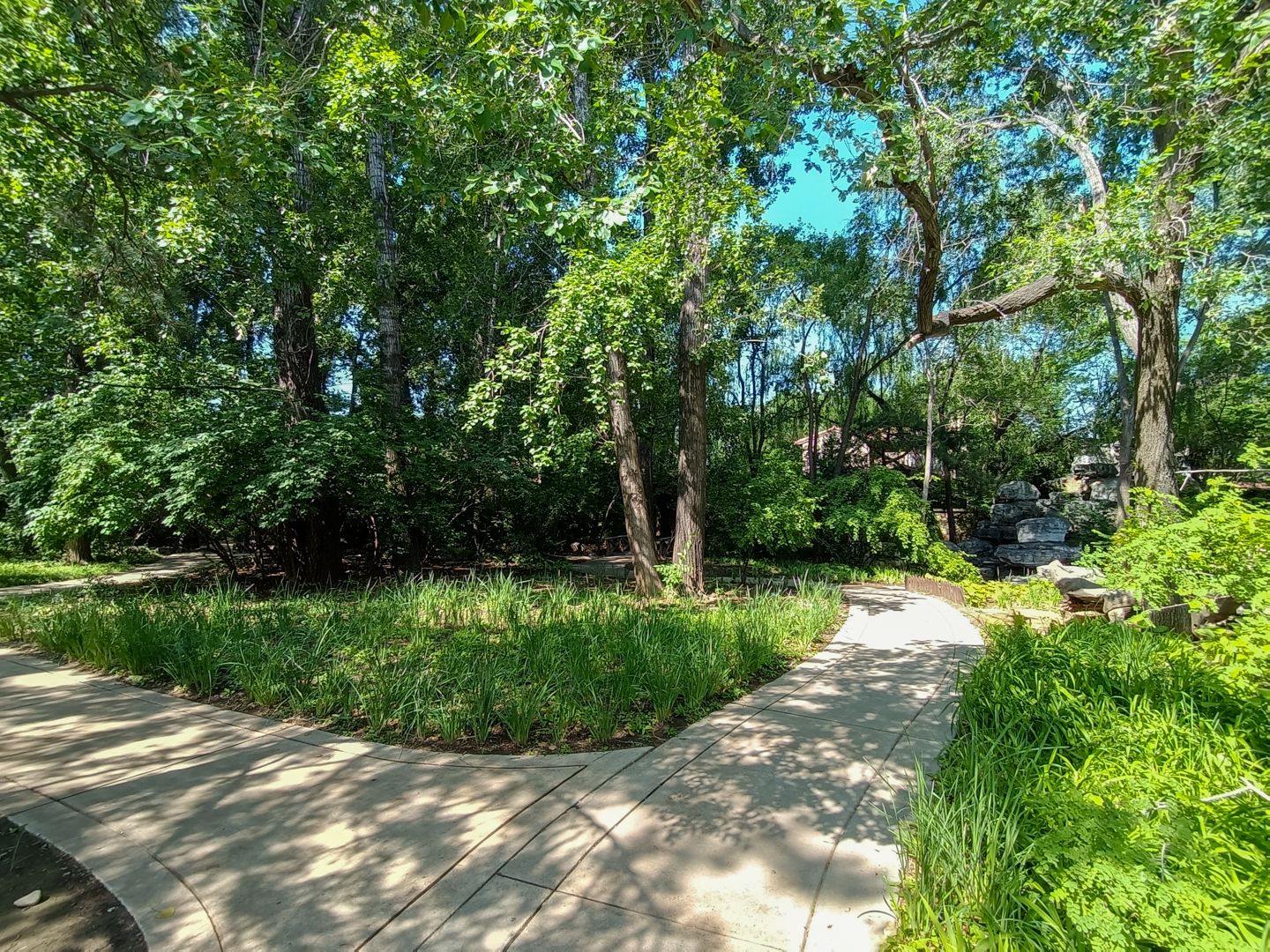 纳帕溪谷 environment