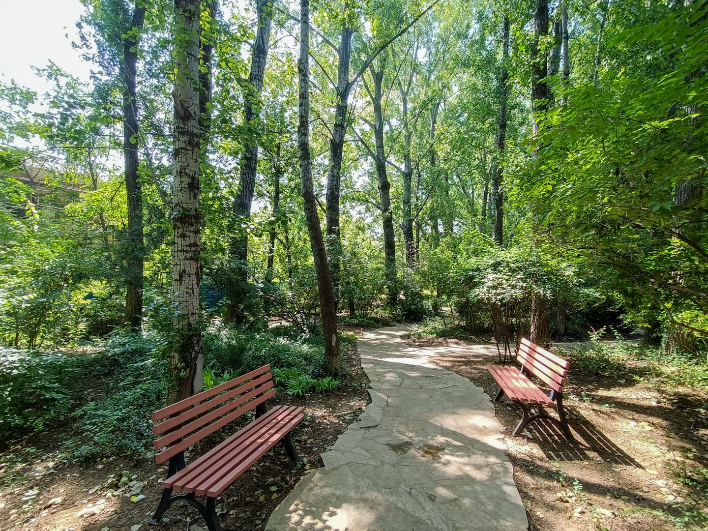 纳帕溪谷 environment