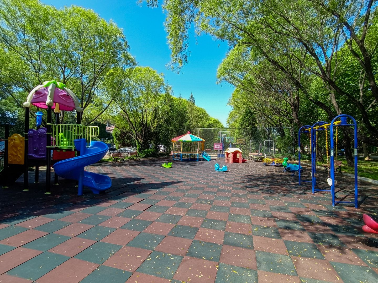 纳帕溪谷 environment