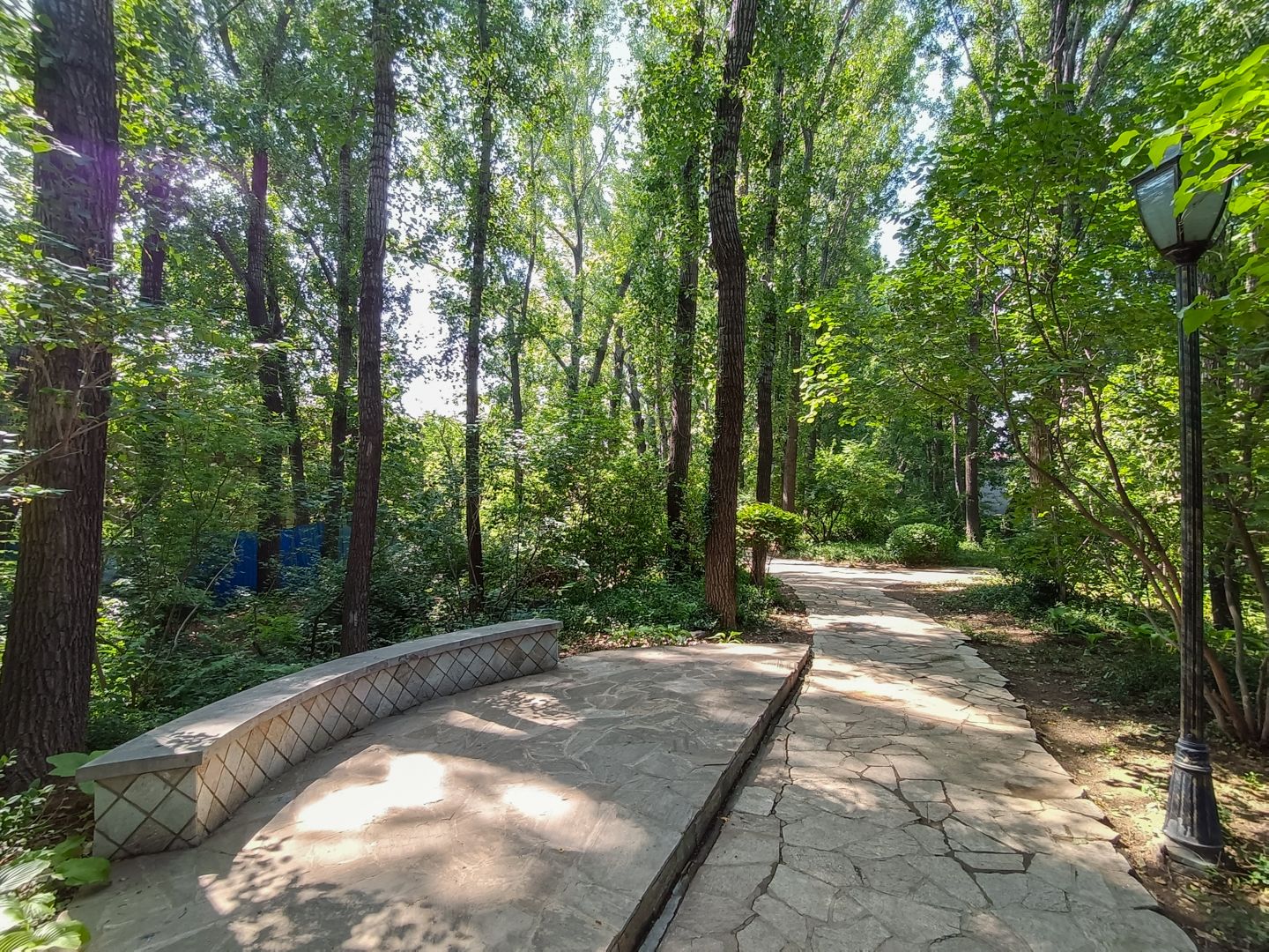 纳帕溪谷 environment