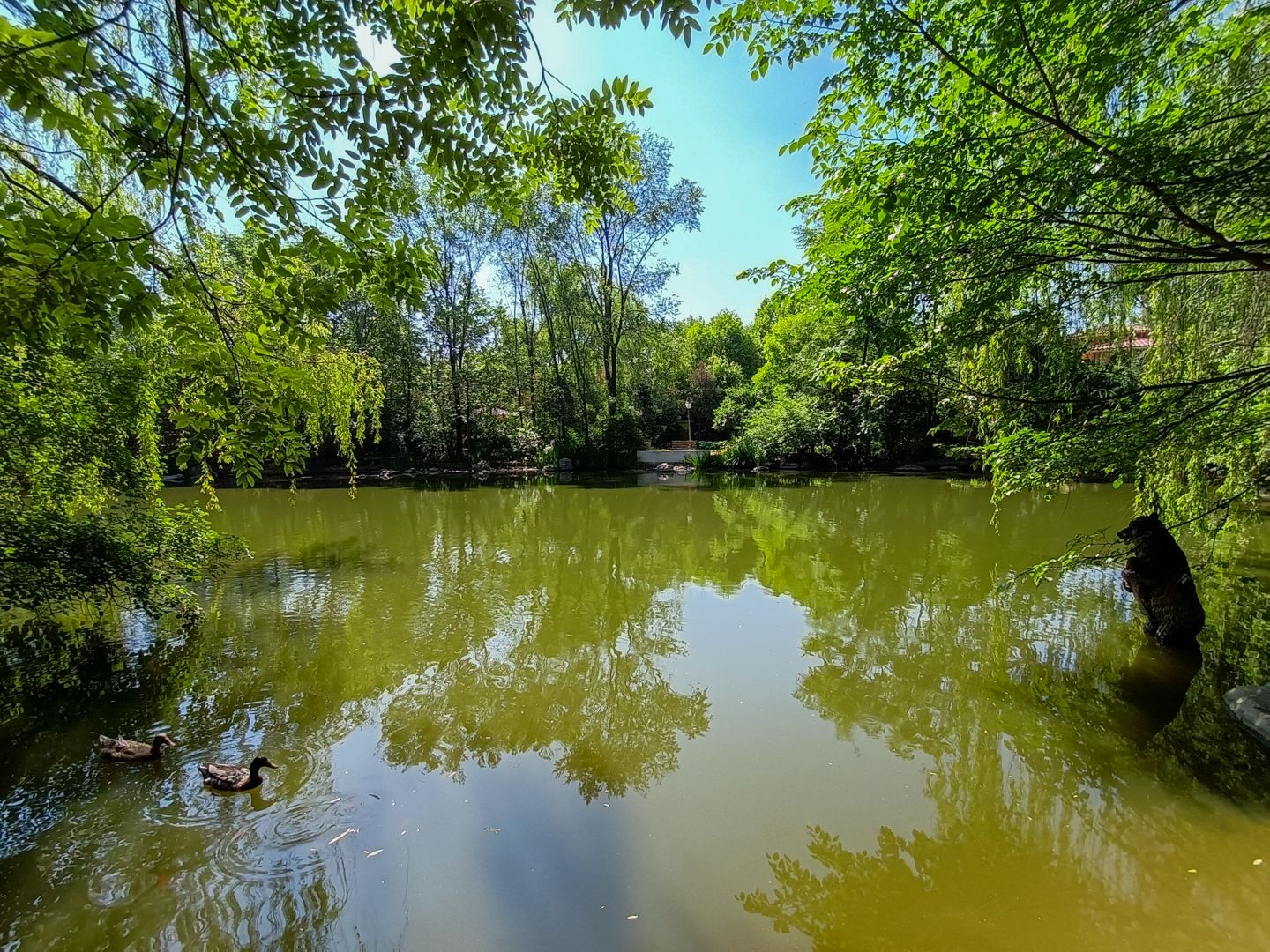 纳帕溪谷 environment