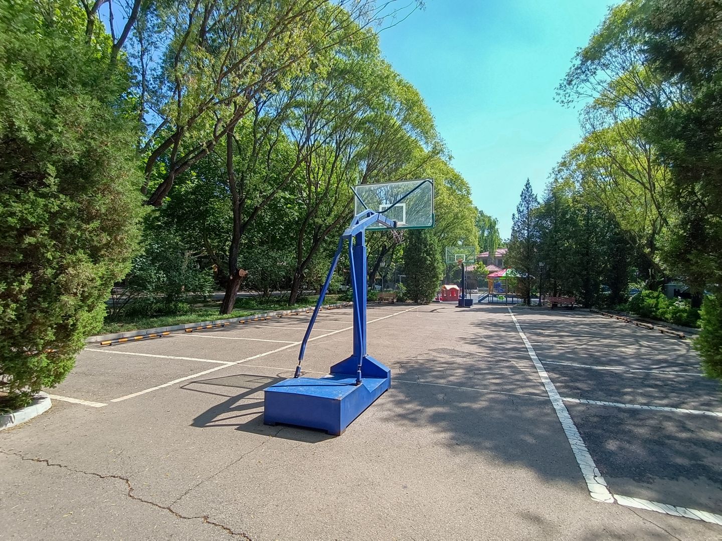 纳帕溪谷 environment