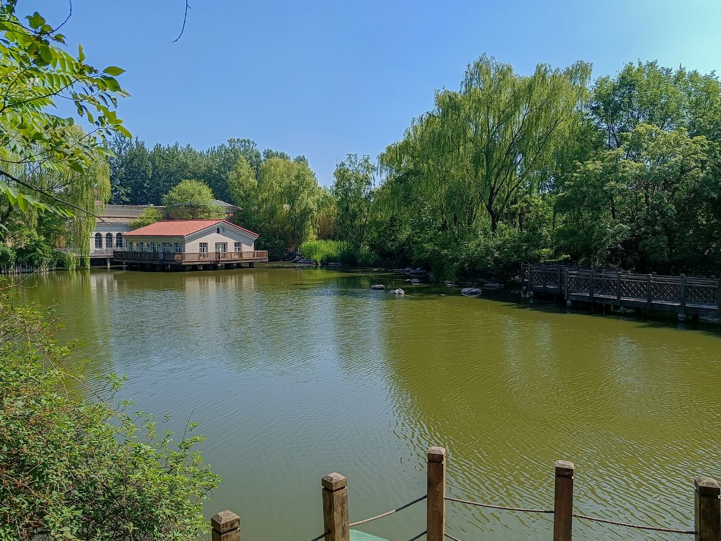 纳帕溪谷 environment